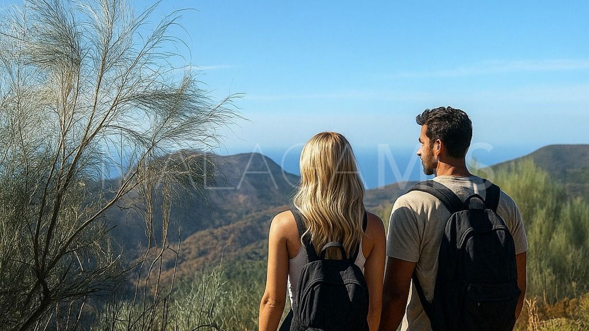 Malaga, casa de campo a la venta