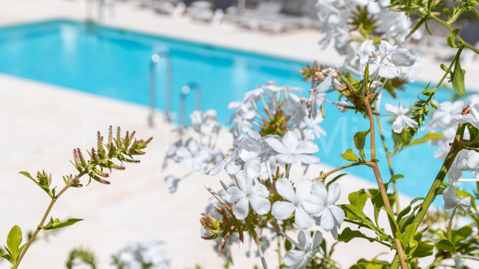 For sale Selwo 2 bedrooms ground floor apartment