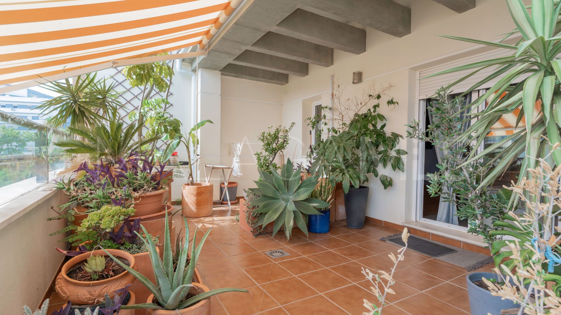 Appartement terrasse for sale in El Pinillo