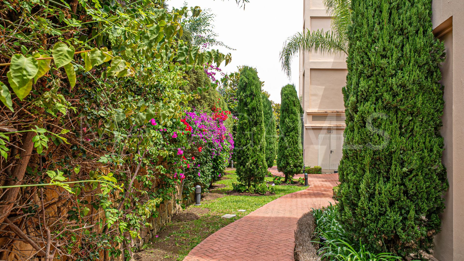 Buy apartamento in Paraiso Hills with 2 bedrooms