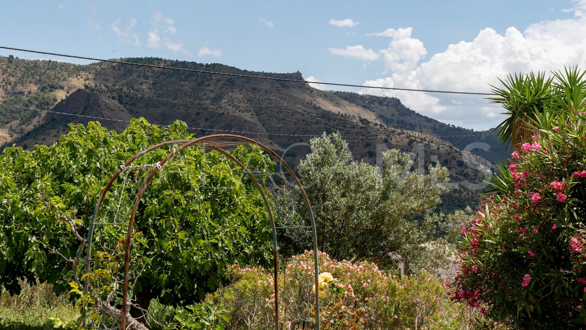 House in Pizarra for sale