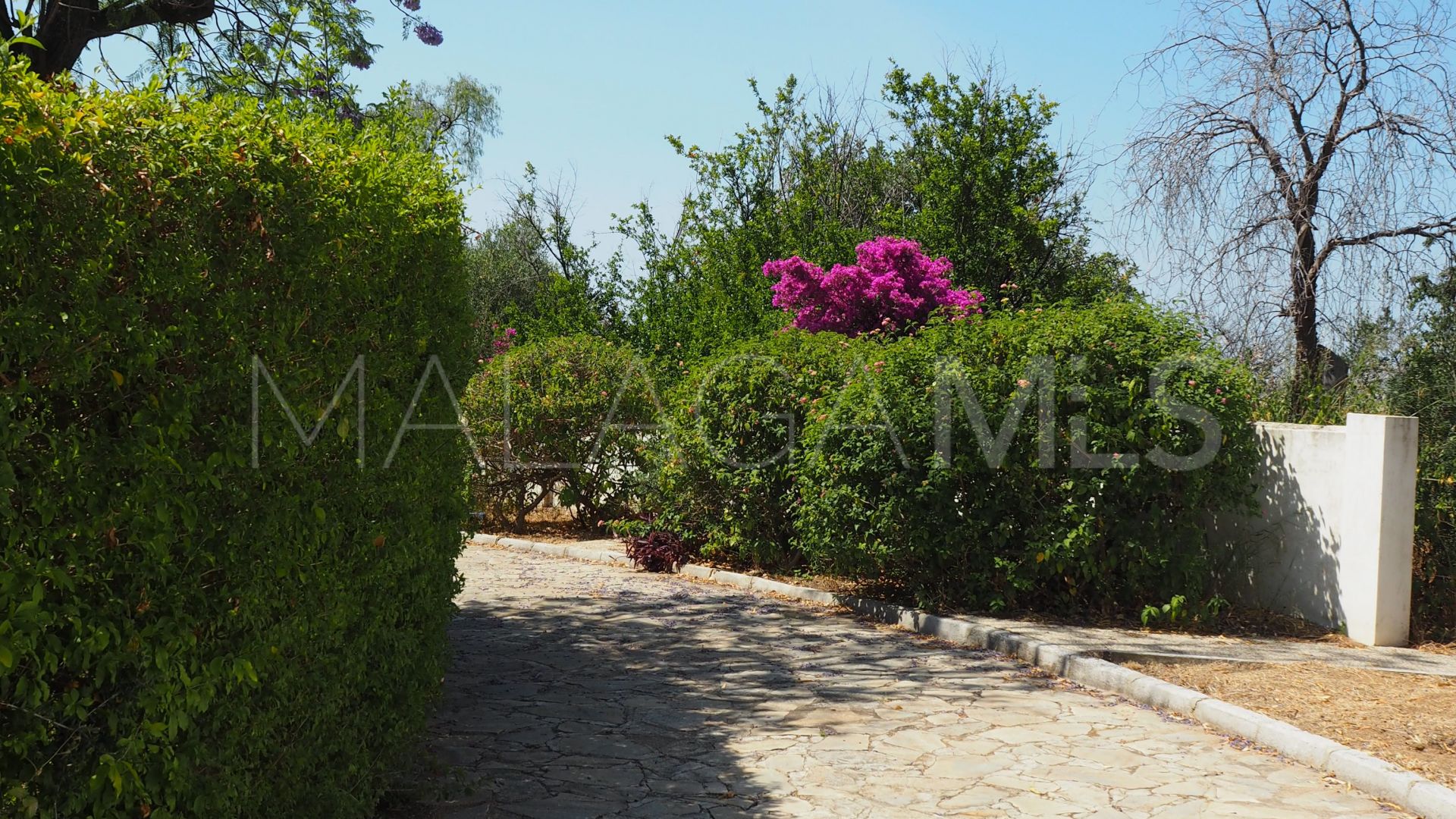 La Alqueria, villa with 5 bedrooms for sale
