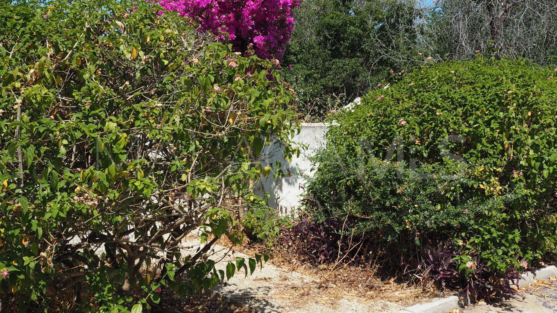 La Alqueria, villa with 5 bedrooms for sale