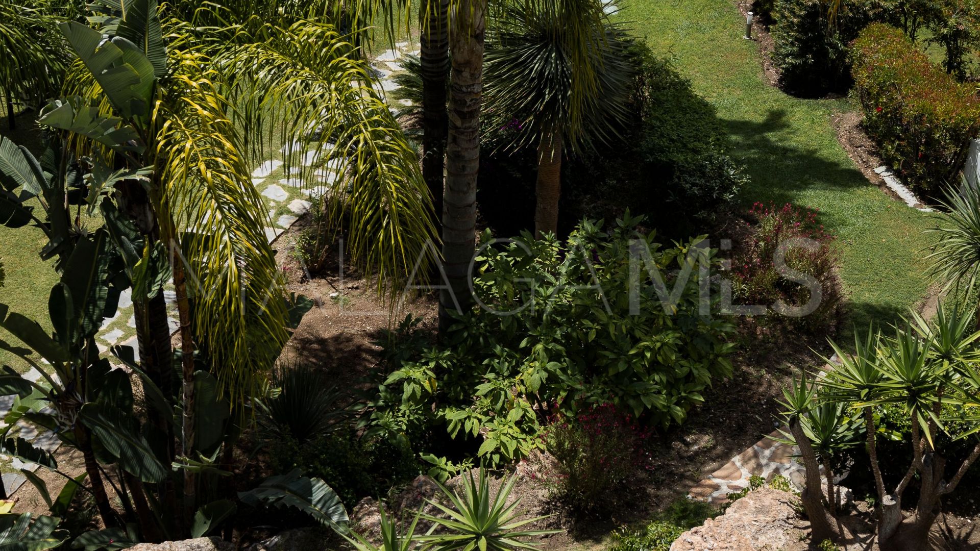 Buy pareado in Marbella Golden Mile