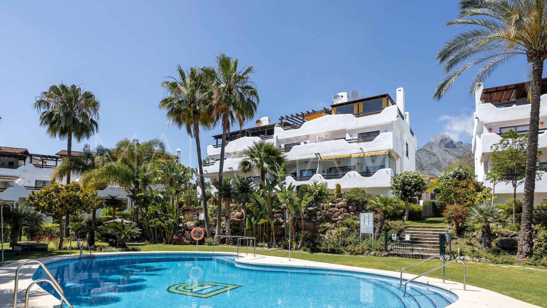 Buy pareado in Marbella Golden Mile