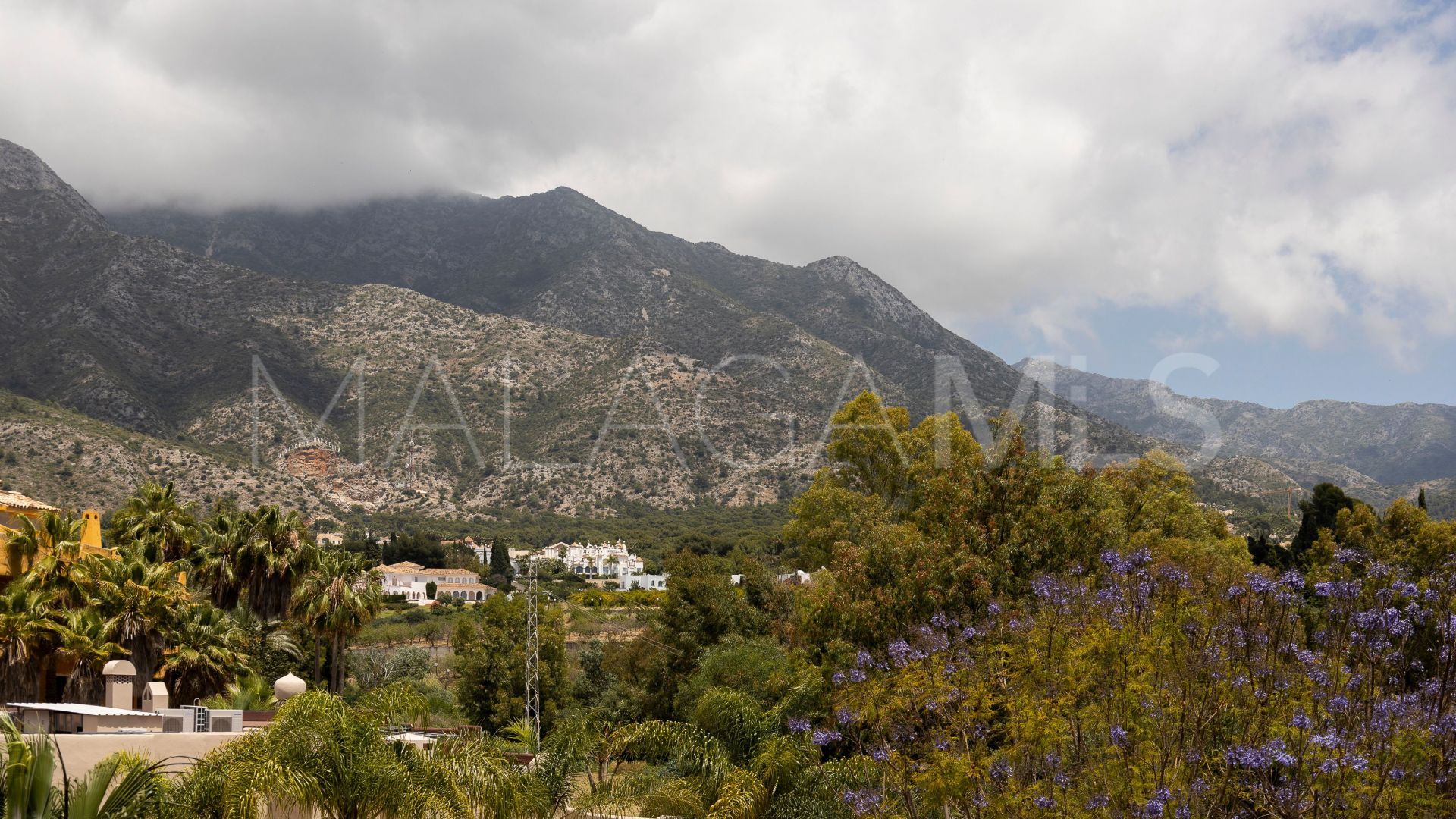 Buy pareado in Marbella Golden Mile