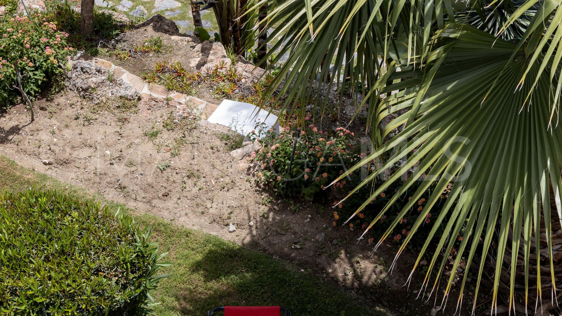 Buy pareado in Marbella Golden Mile