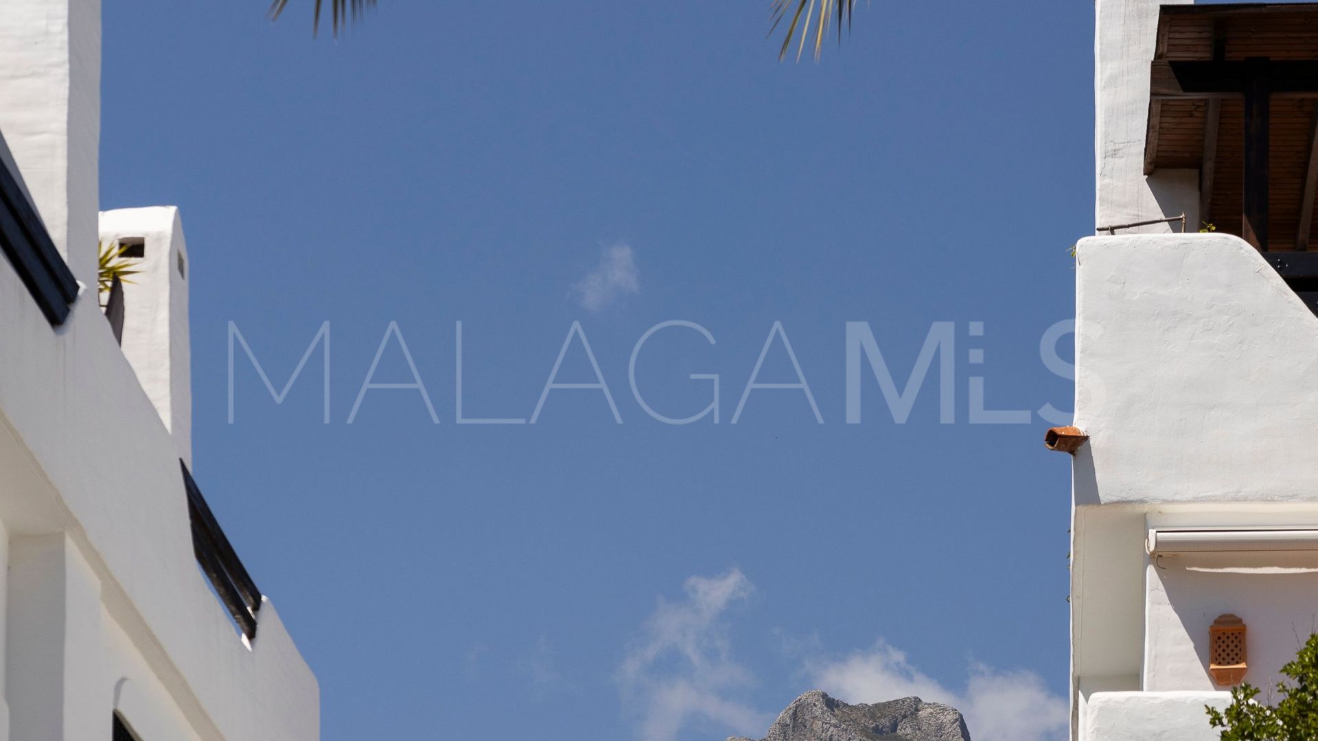 Buy pareado in Marbella Golden Mile