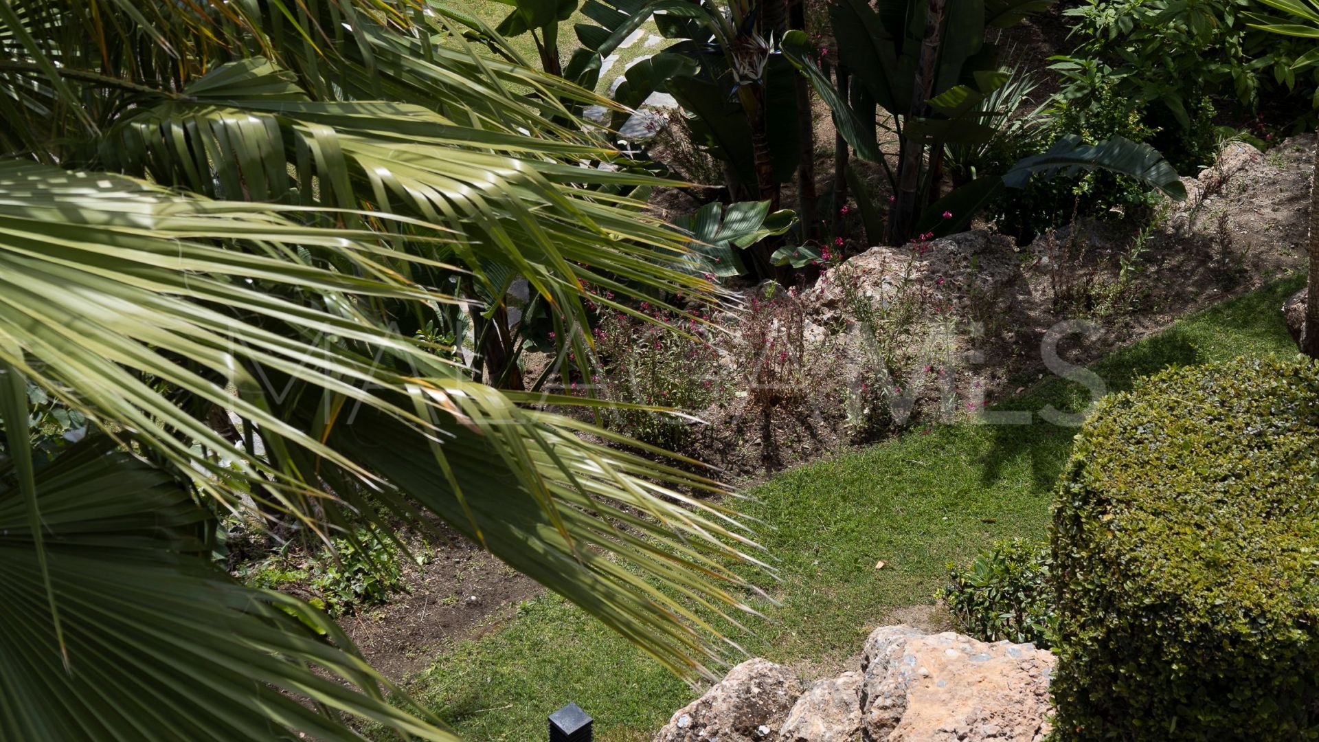 Buy pareado in Marbella Golden Mile