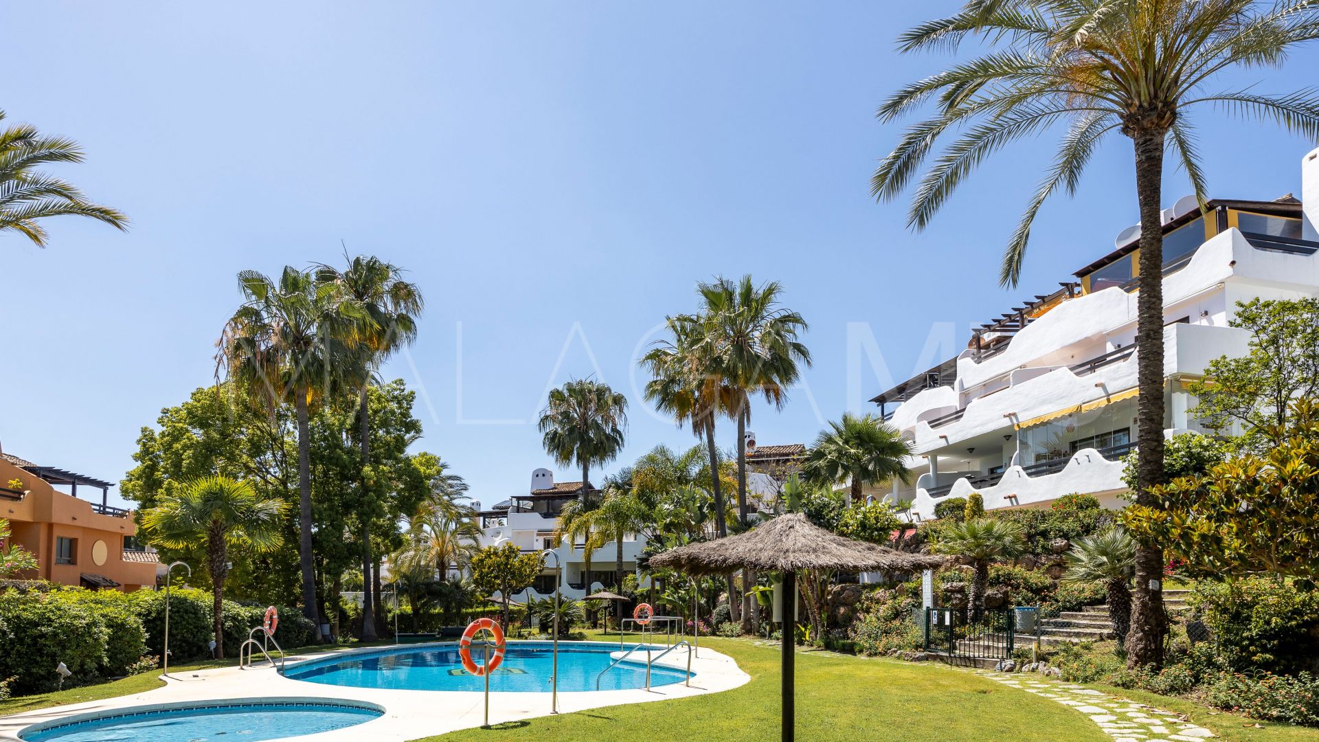 Buy pareado in Marbella Golden Mile