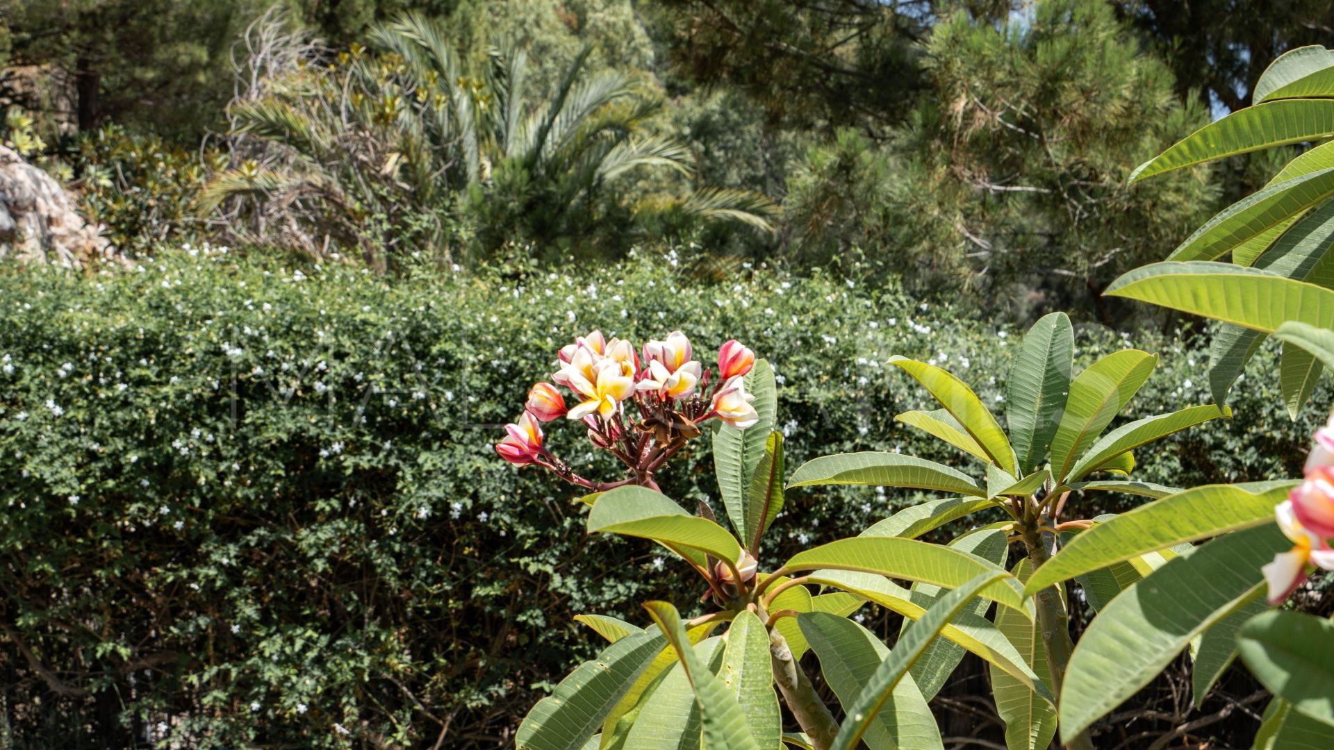 Carretera de Istan, casa with 2 bedrooms for sale