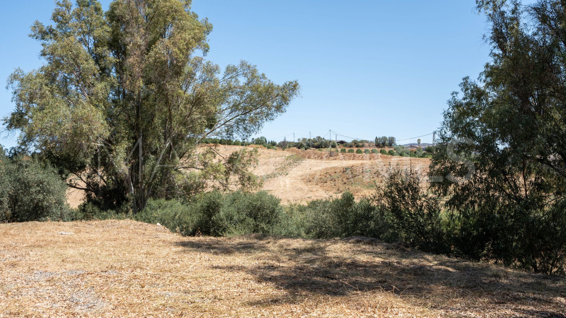 Finca for sale in Cartama
