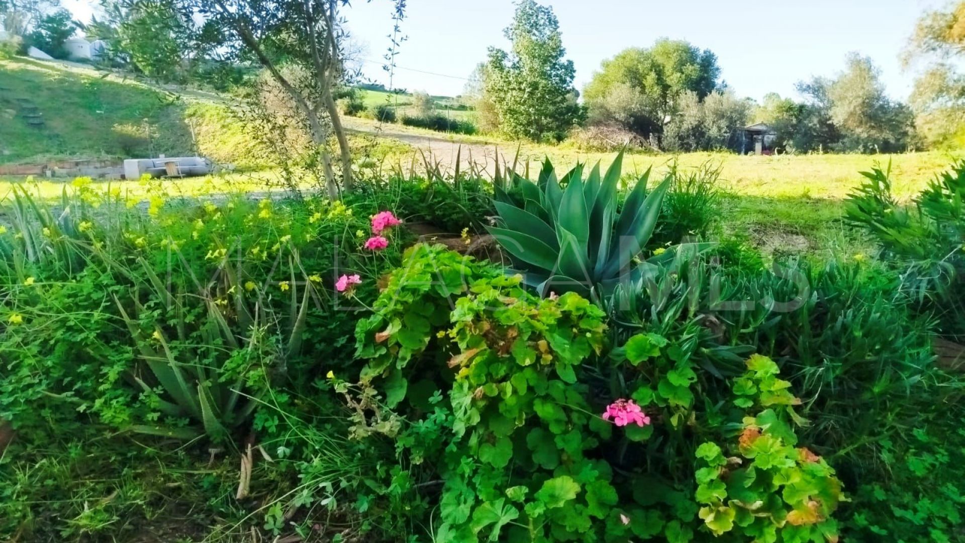 Finca for sale in Cartama