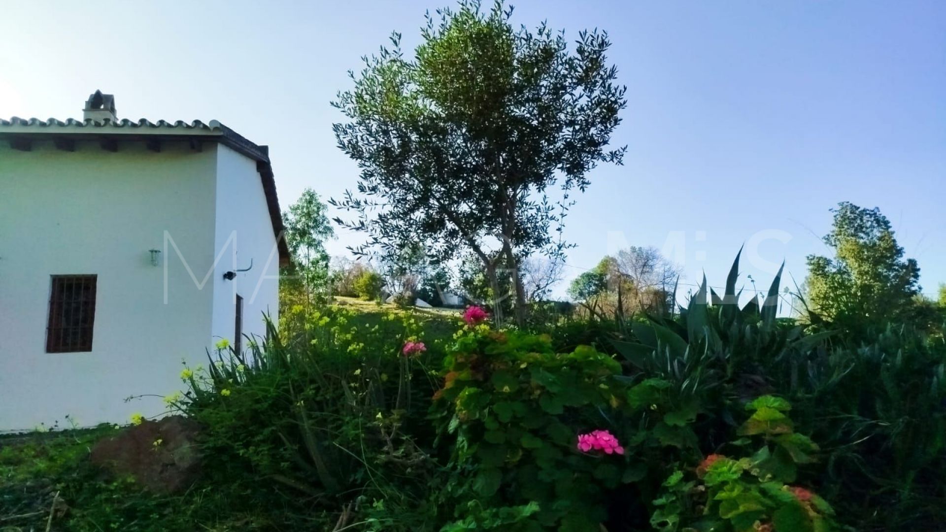 Finca for sale in Cartama