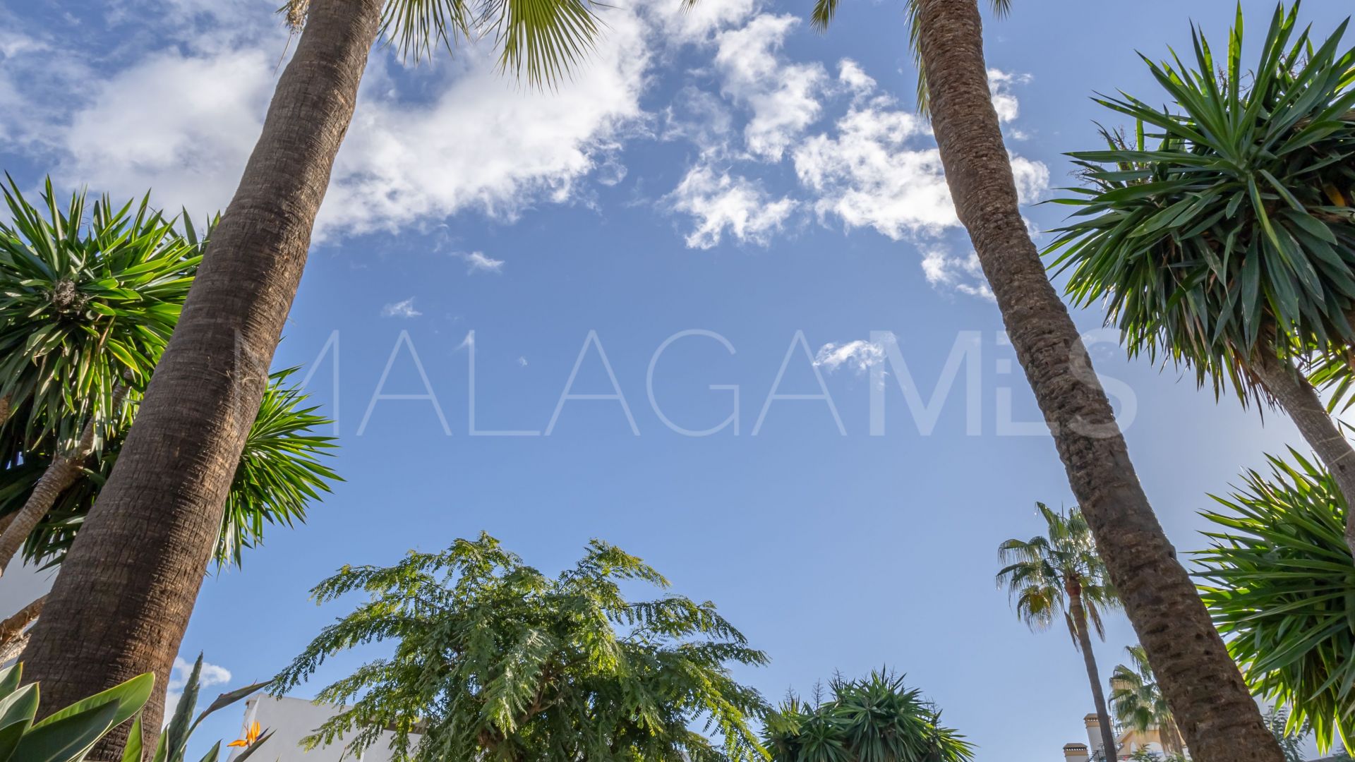 Wohnung for sale in Nueva Andalucia