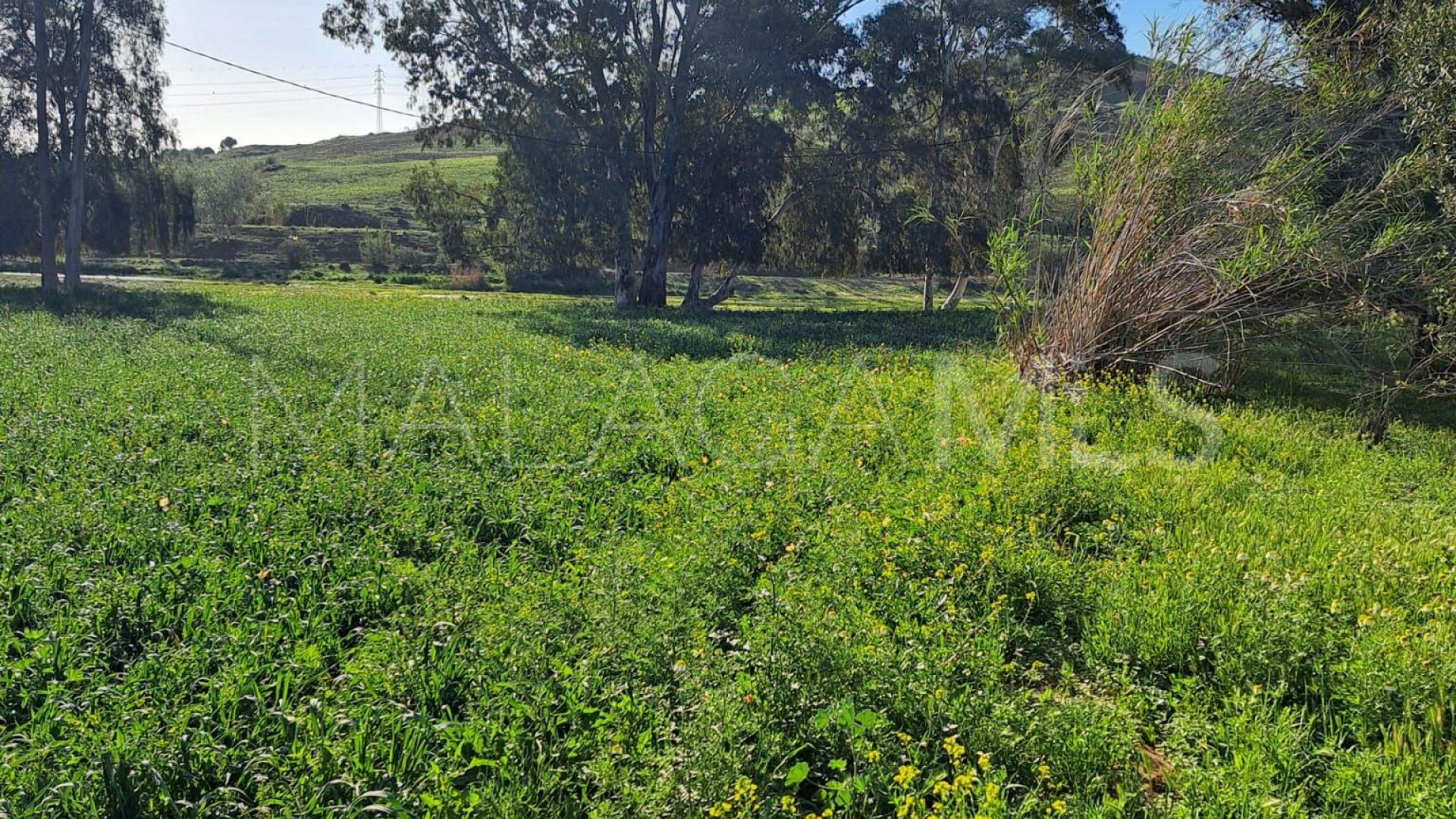 Plot in Cartama for sale