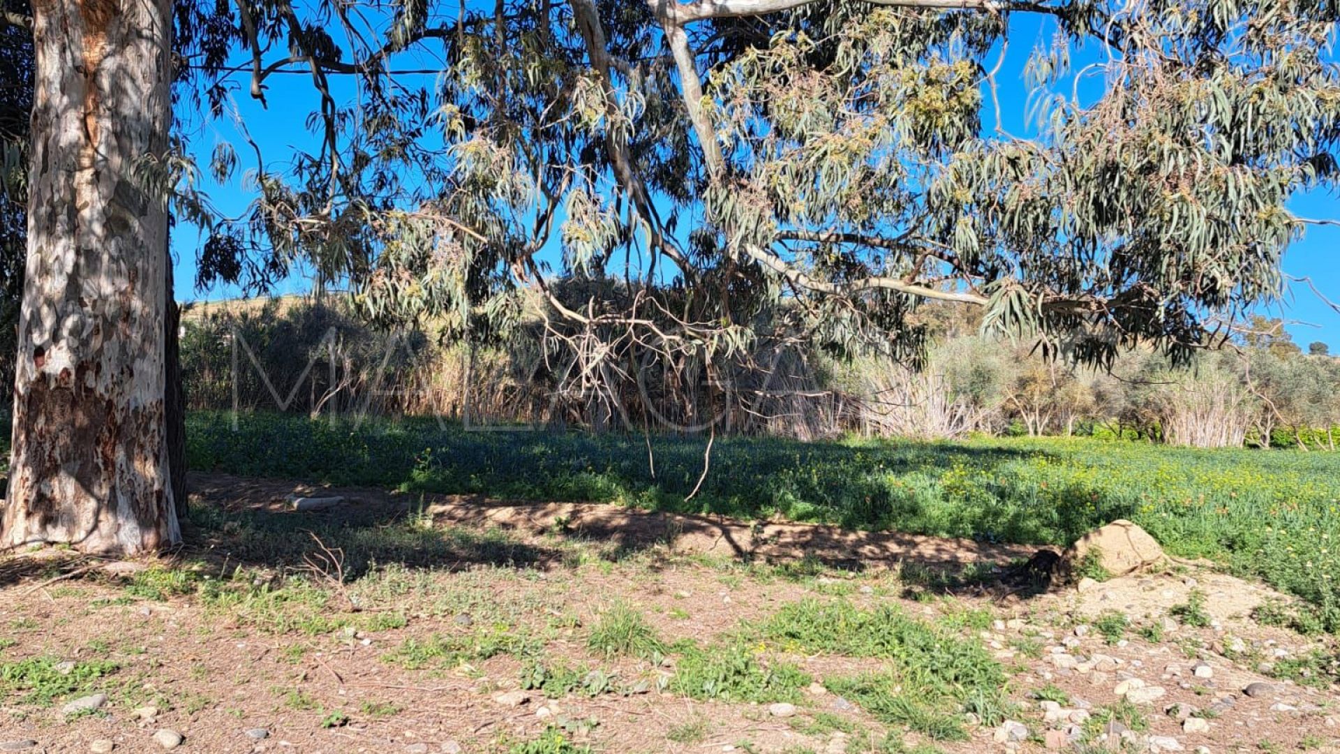 Plot in Cartama for sale