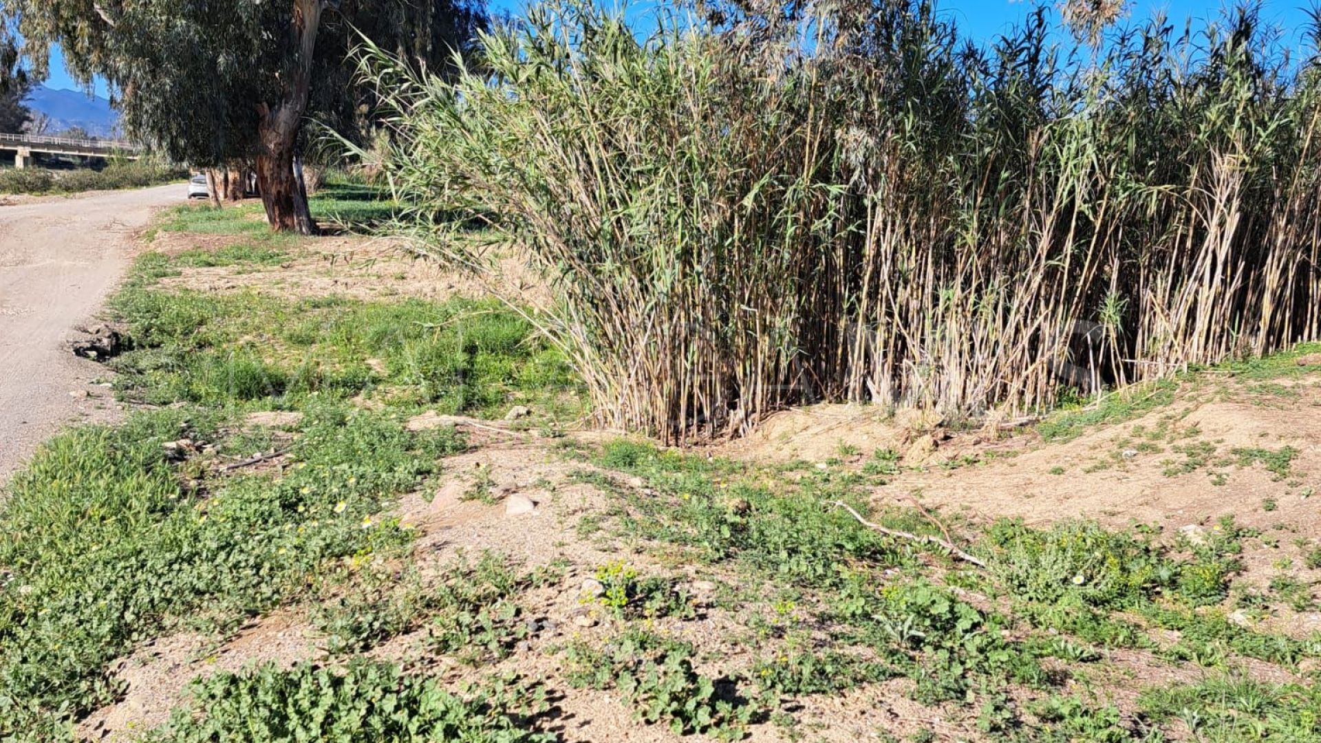 Plot in Cartama for sale