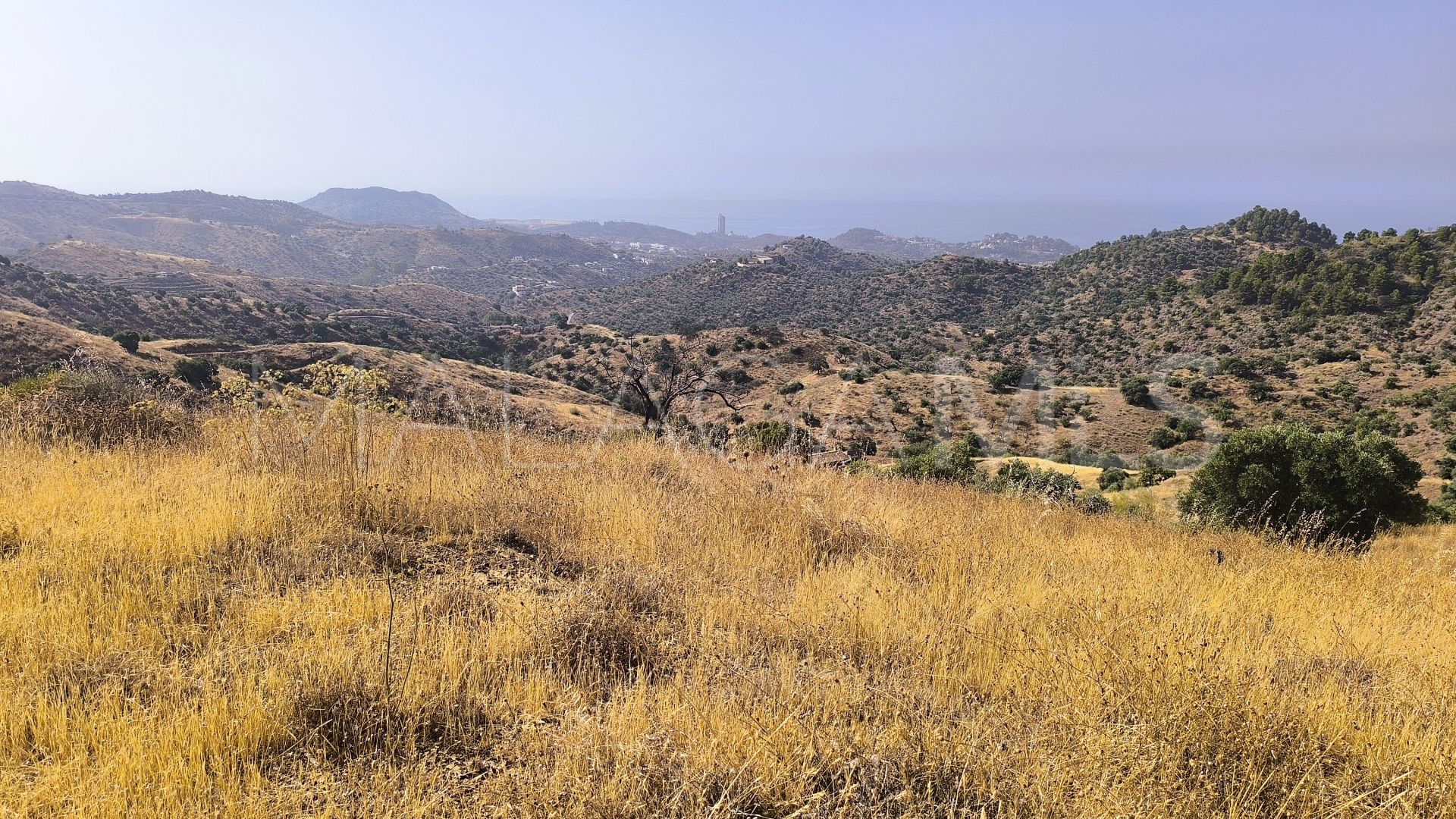 Pinares de San Antón plot for sale