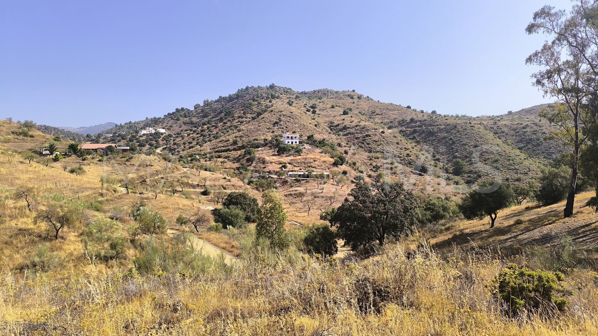 Pinares de San Antón plot for sale