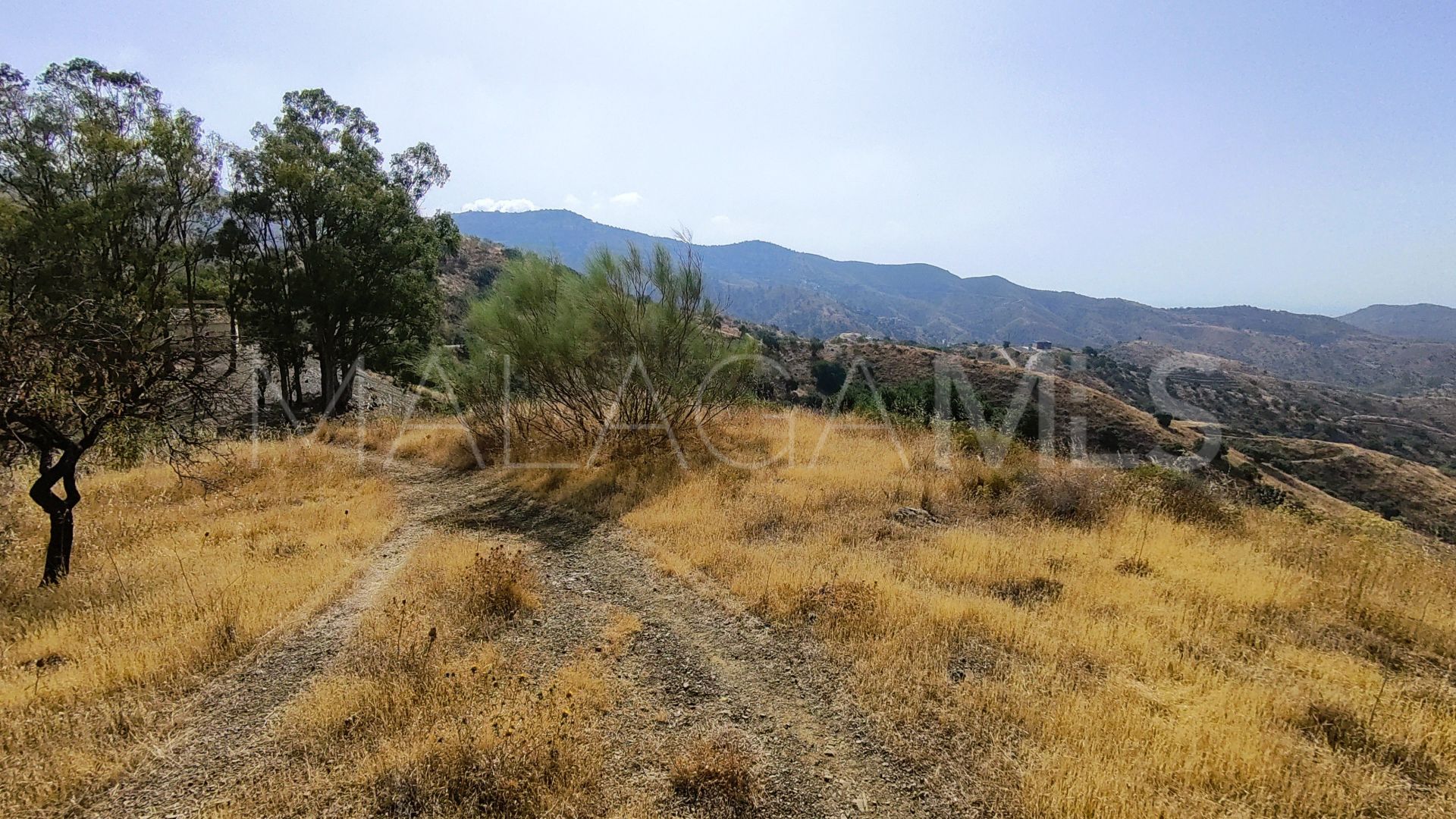 Pinares de San Antón plot for sale