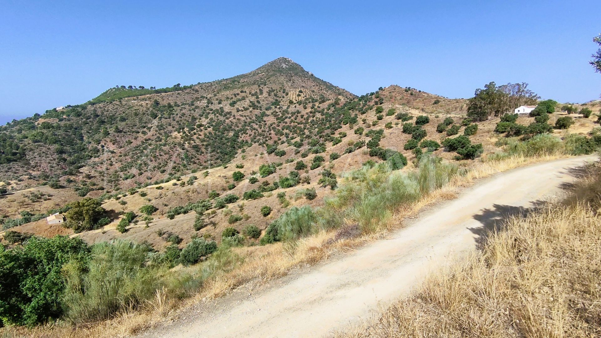Pinares de San Antón plot for sale