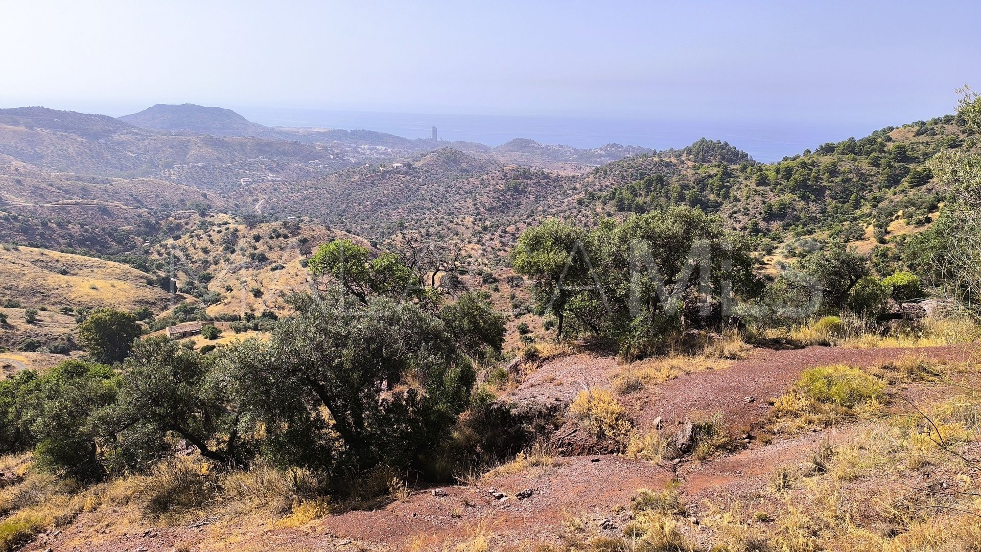 Pinares de San Antón plot for sale