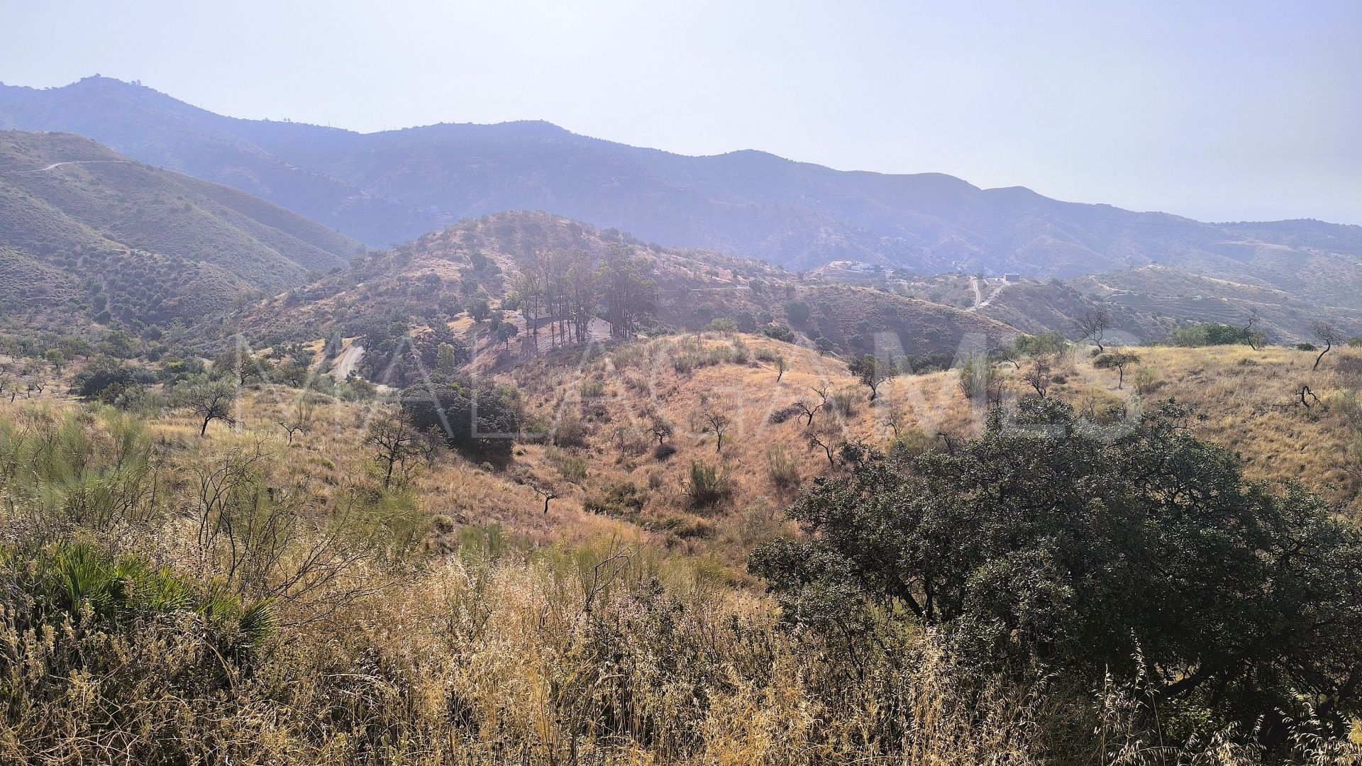 Pinares de San Antón plot for sale