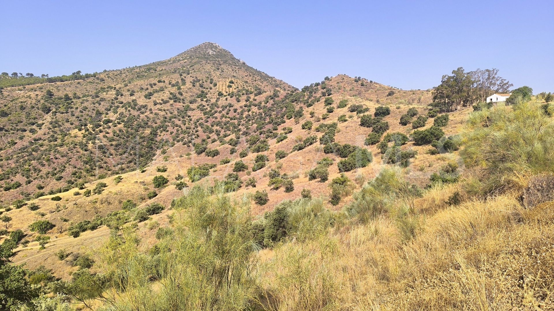 Pinares de San Antón plot for sale