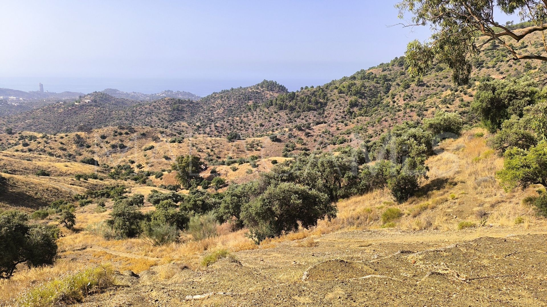 Pinares de San Antón plot for sale