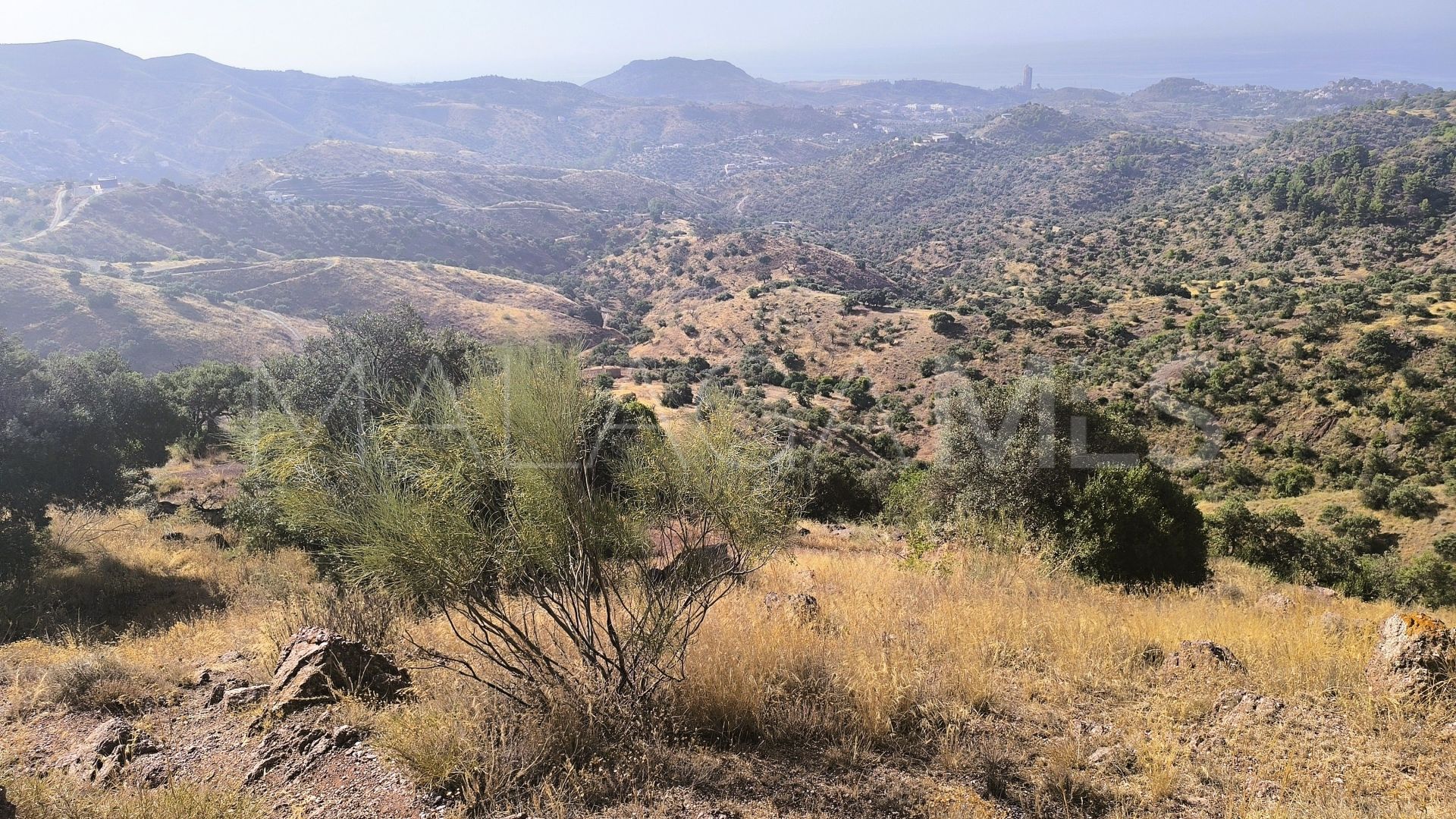 Pinares de San Antón plot for sale