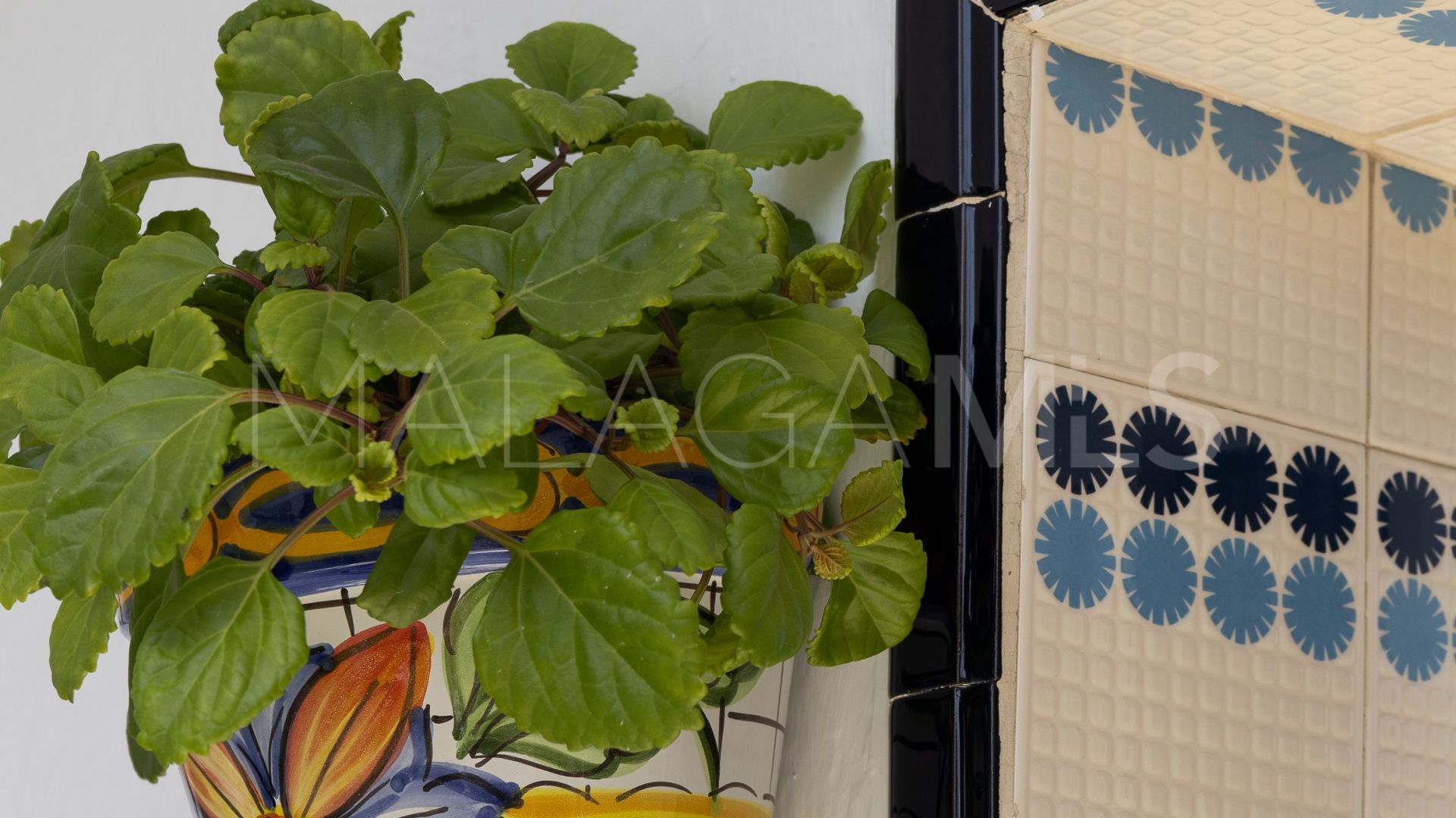 Malaga - Cruz de Humilladero, casa with 3 bedrooms a la venta