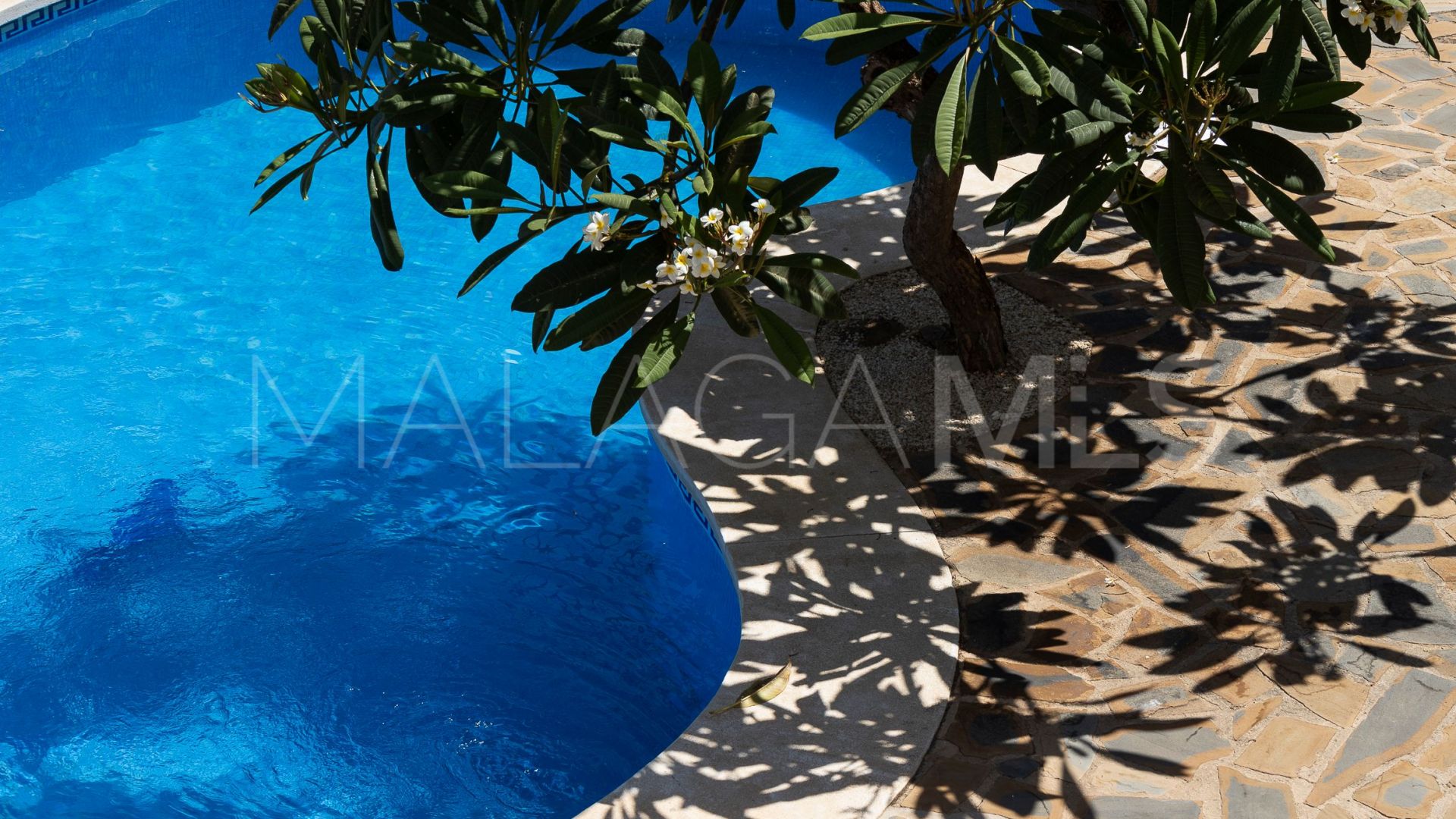 Villa for sale in Torremuelle