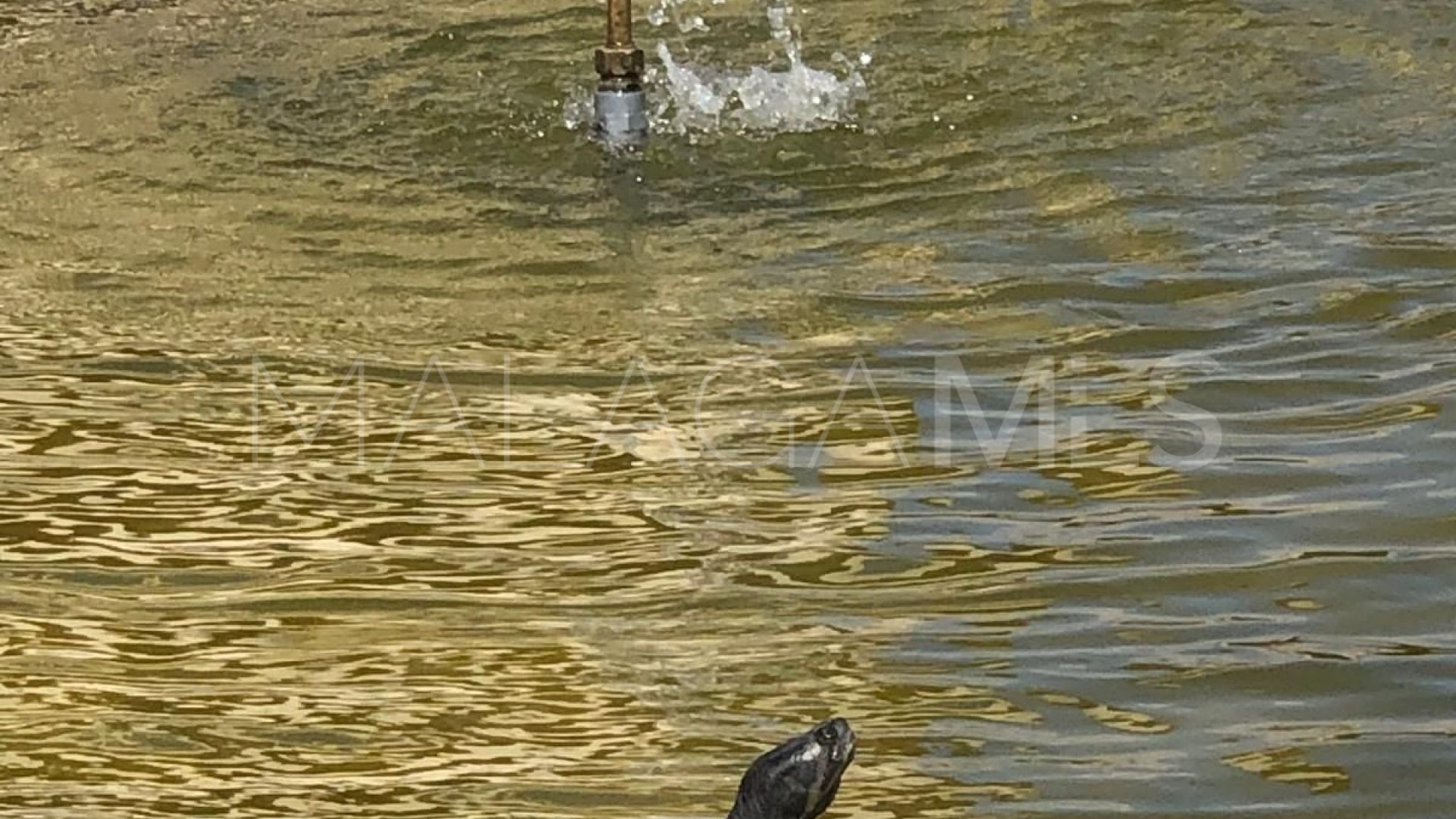 For sale 2 bedrooms ground floor apartment in Mijas Costa