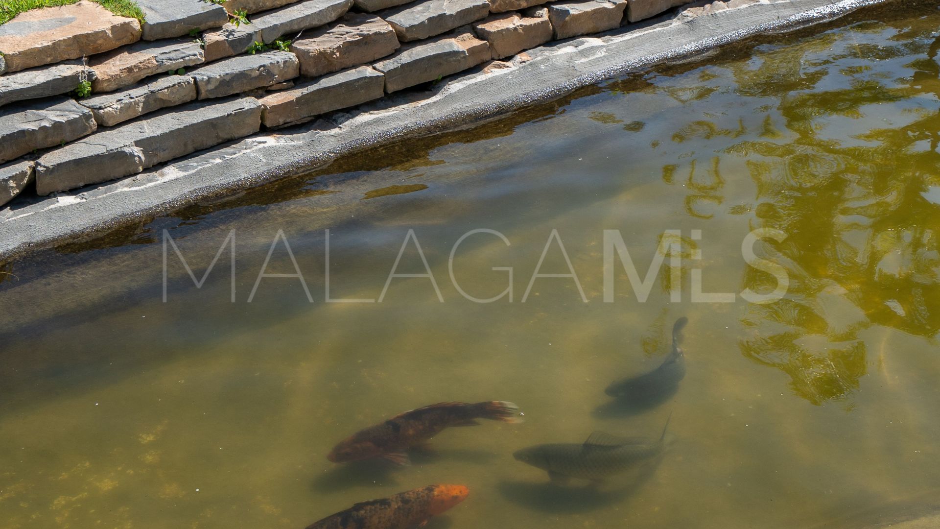 For sale 2 bedrooms ground floor apartment in Mijas Costa