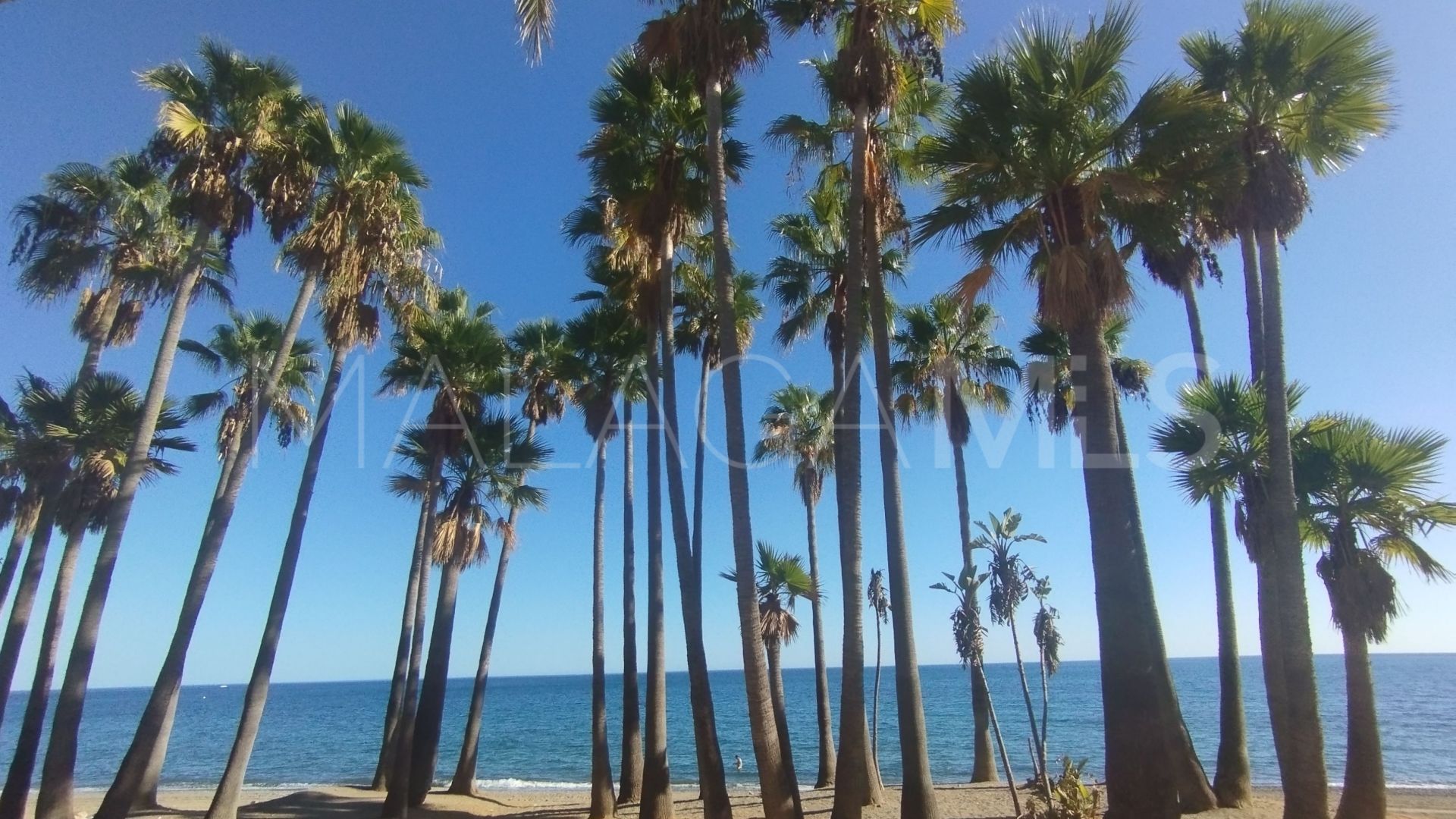 For sale 3 bedrooms apartment in Nueva Alcantara