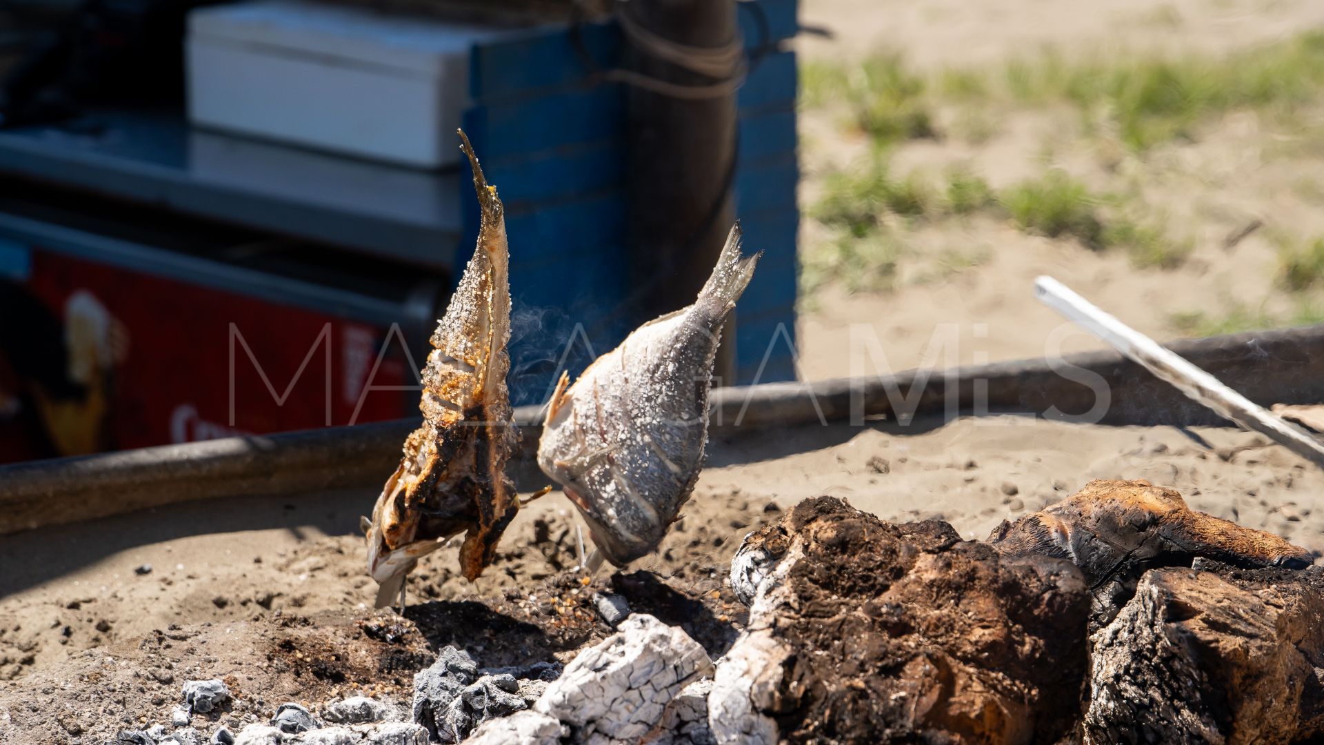 For sale commercial premises in Malaga - Este