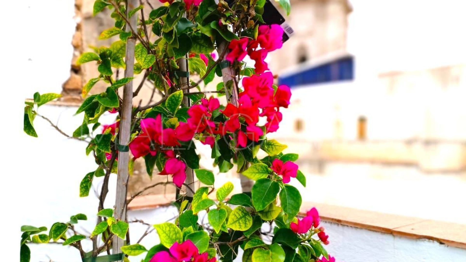 Bâtiment particulier for sale in Malaga - Centro