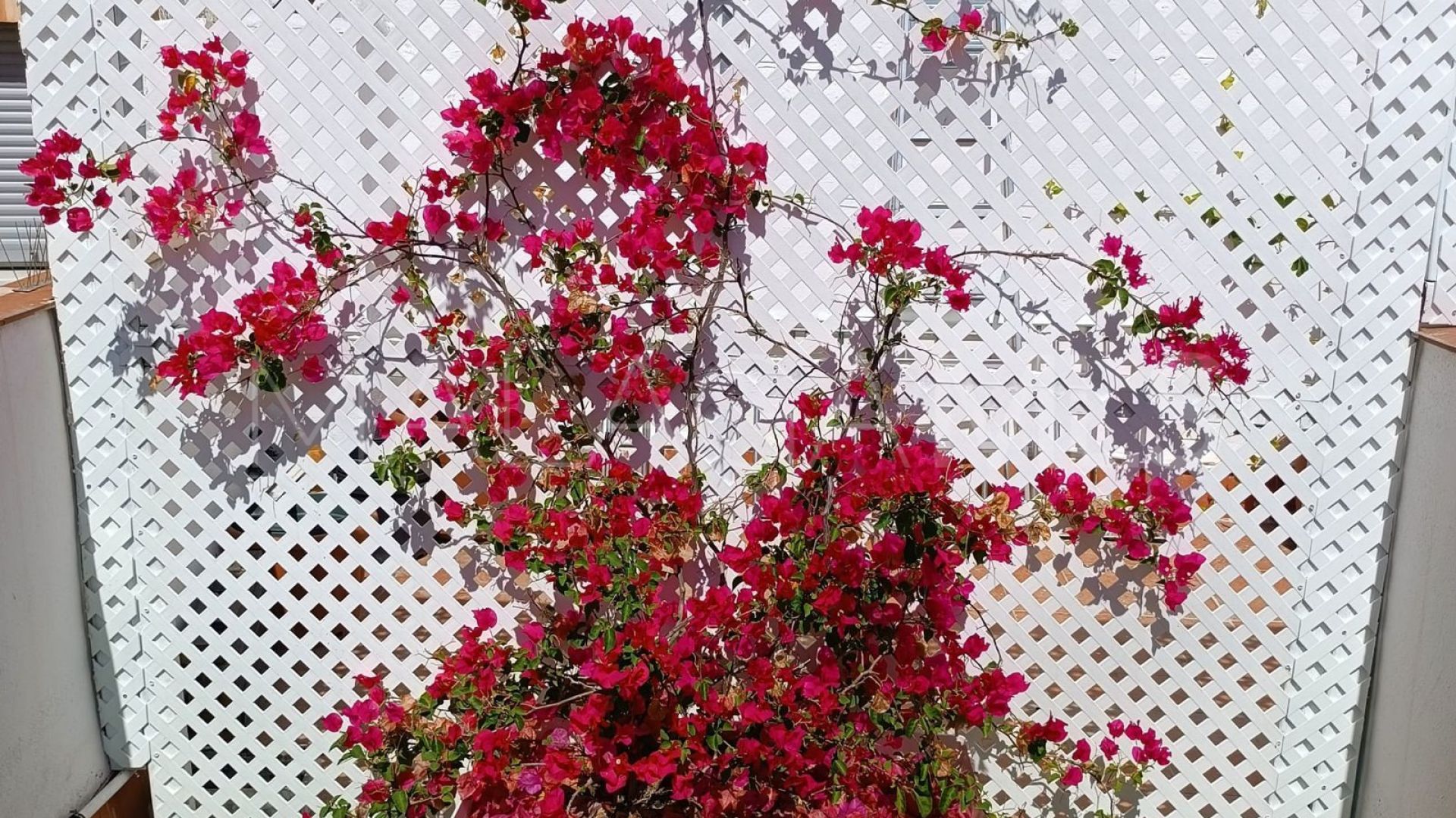 Bâtiment particulier for sale in Malaga - Centro