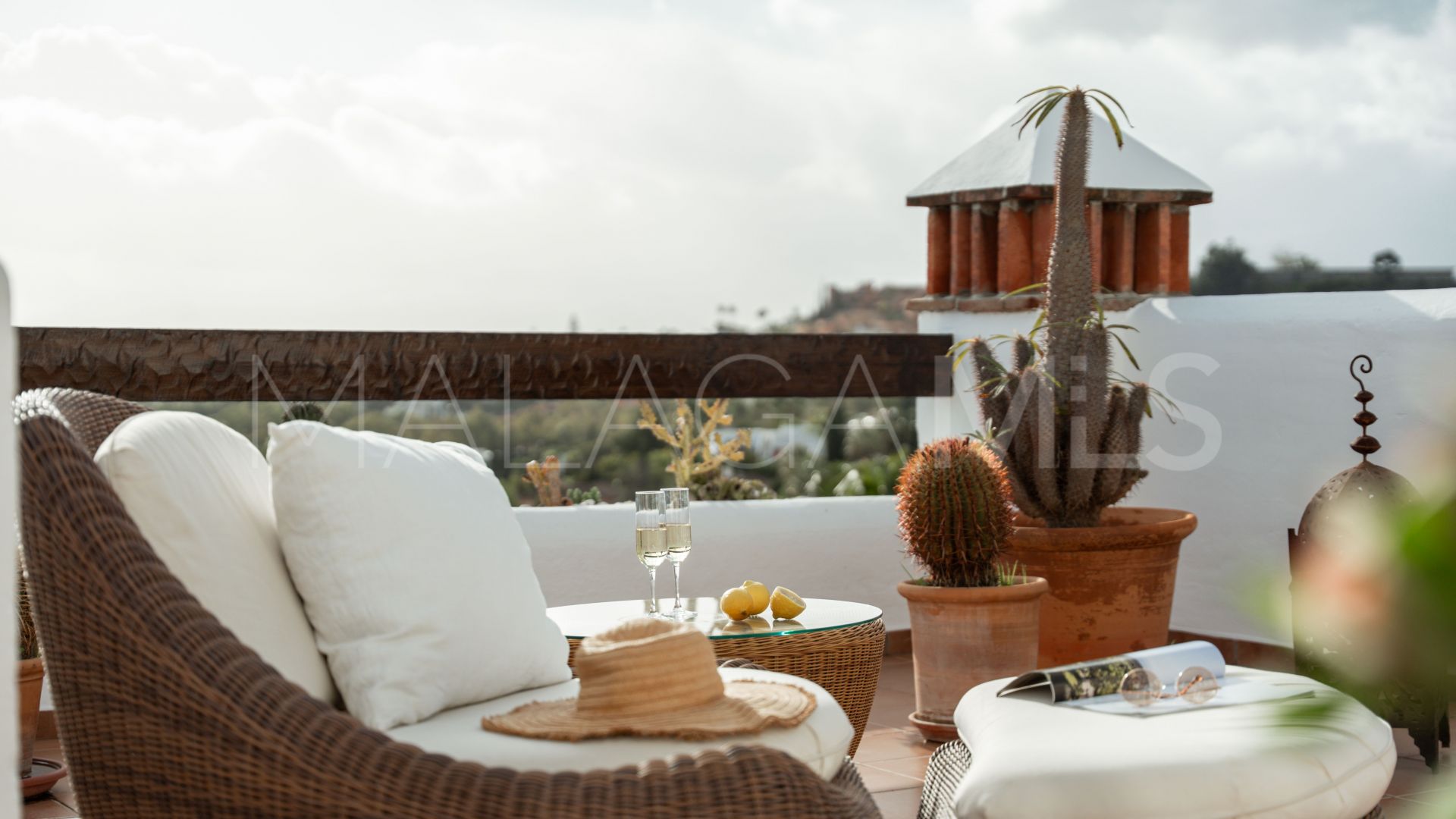 Appartement terrasse for sale in Nueva Andalucia