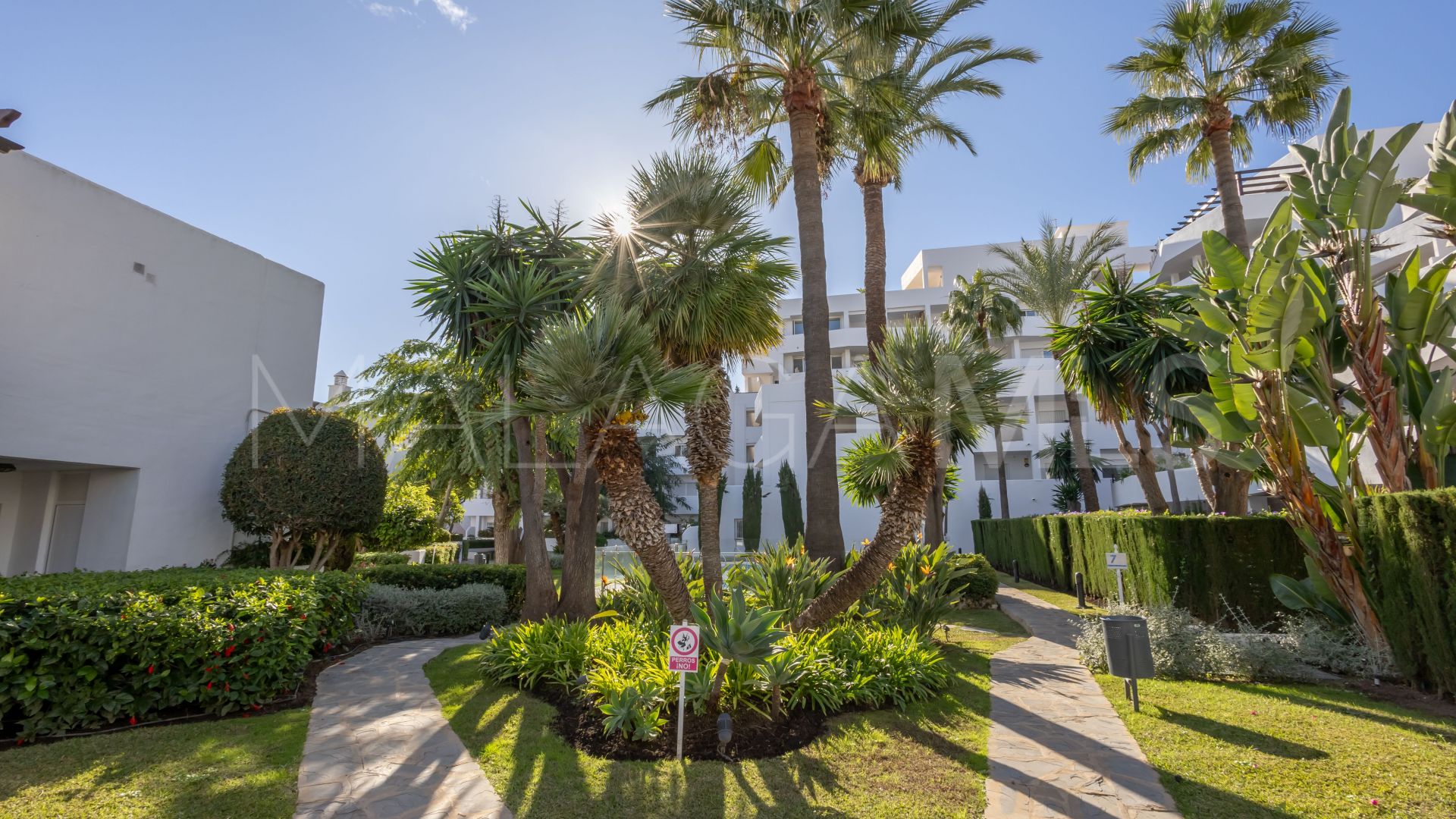 Lägenhet for sale in Nueva Andalucia