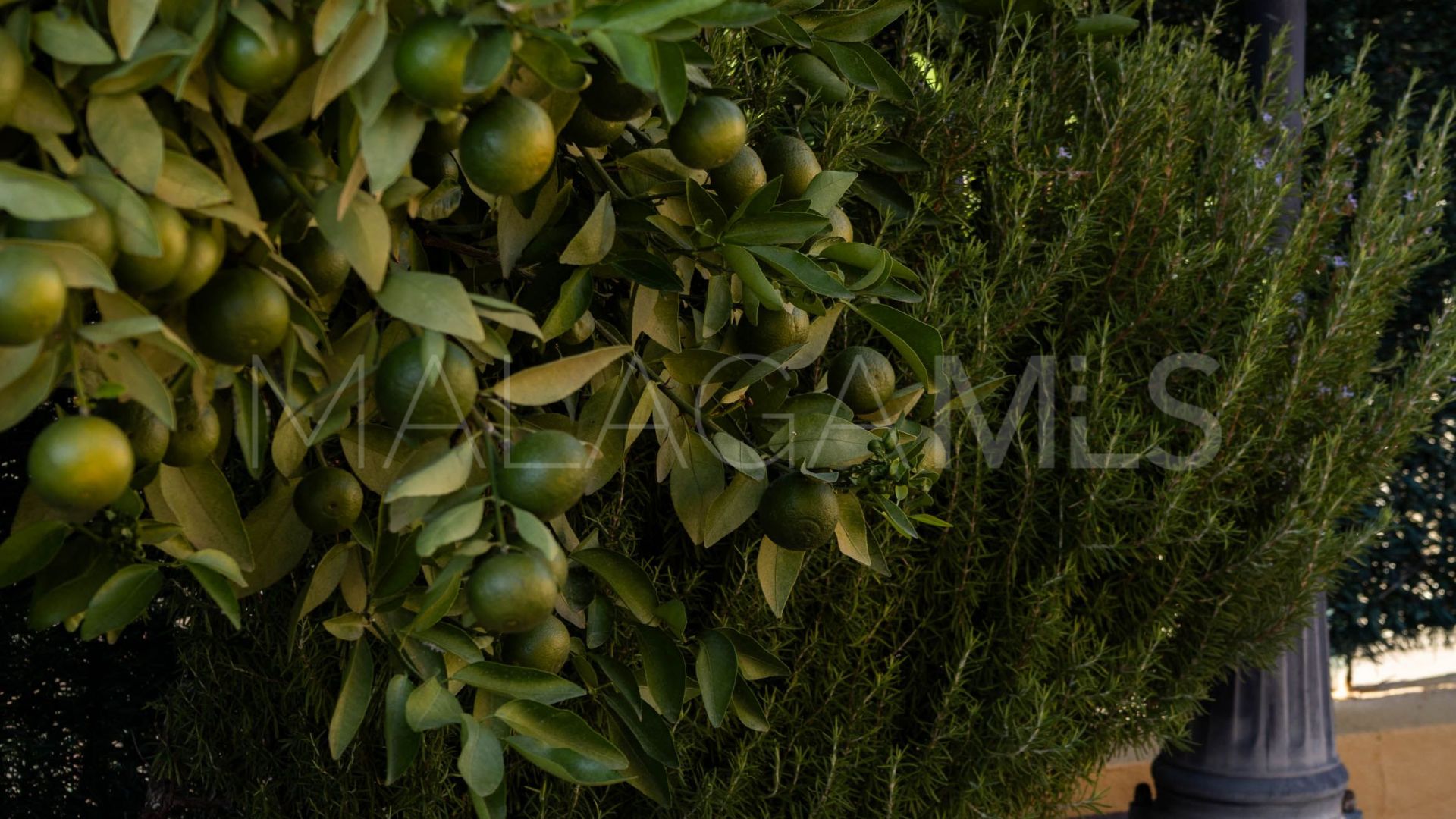 Malaga - Este, casa for sale