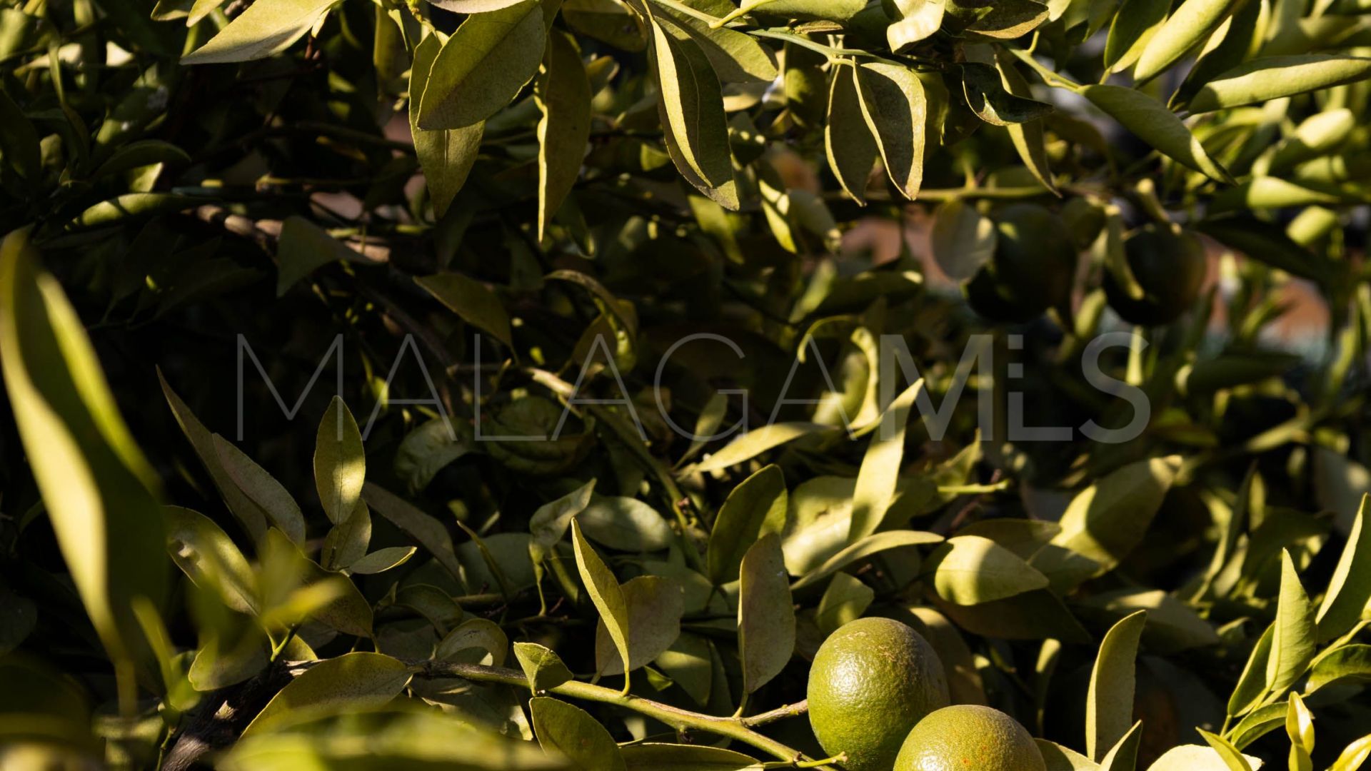 Malaga - Este, casa for sale