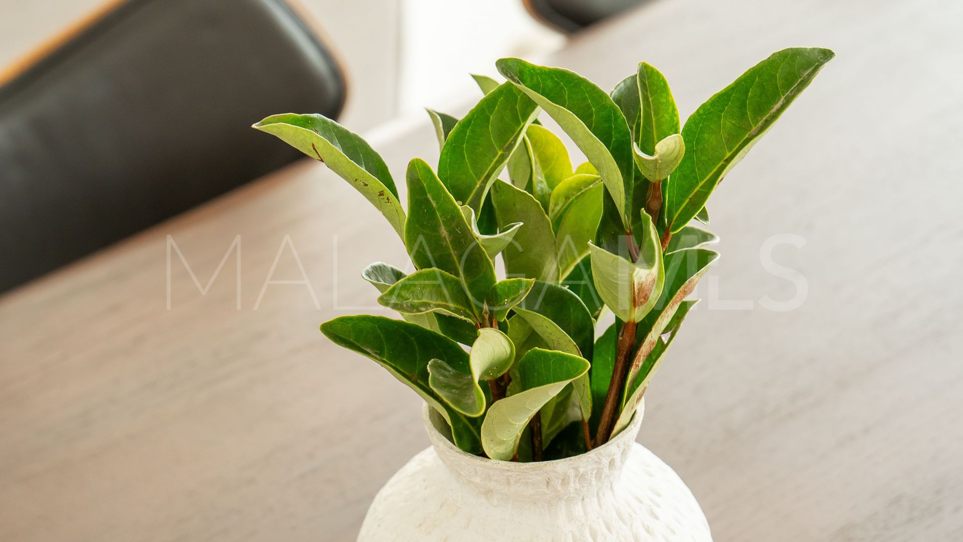 Appartement rez de chaussée for sale in El Higueron