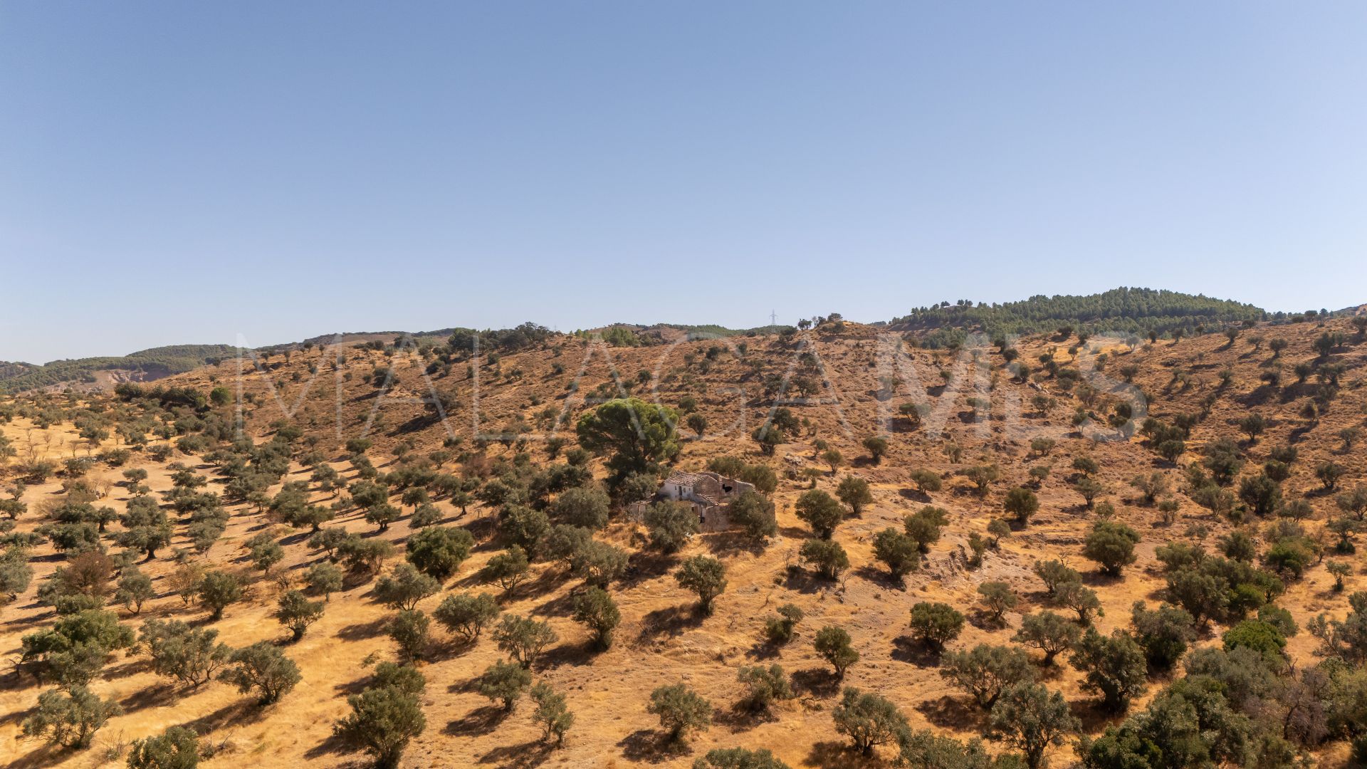 Grundstück for sale in Antequera