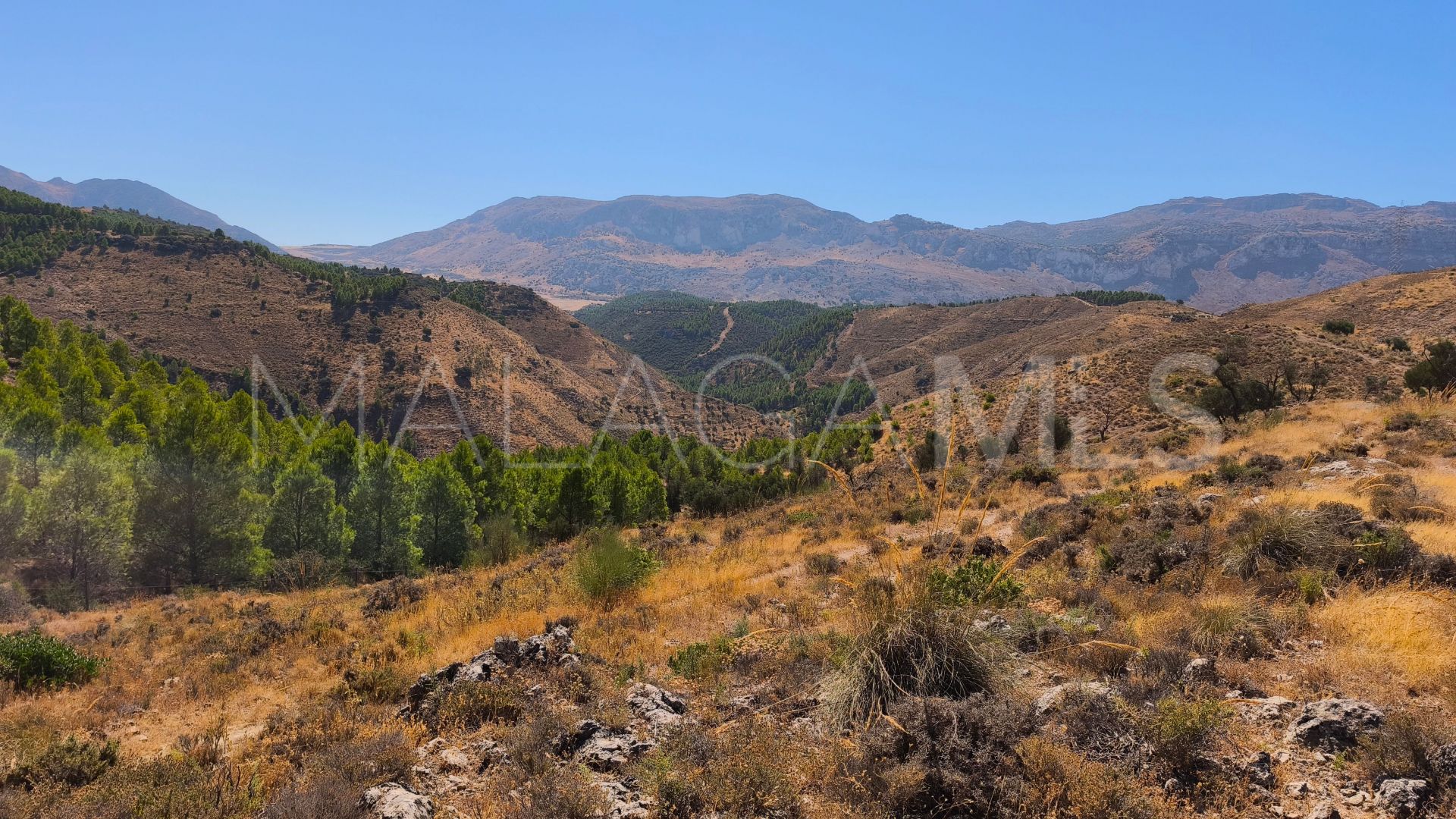 Grundstück for sale in Antequera