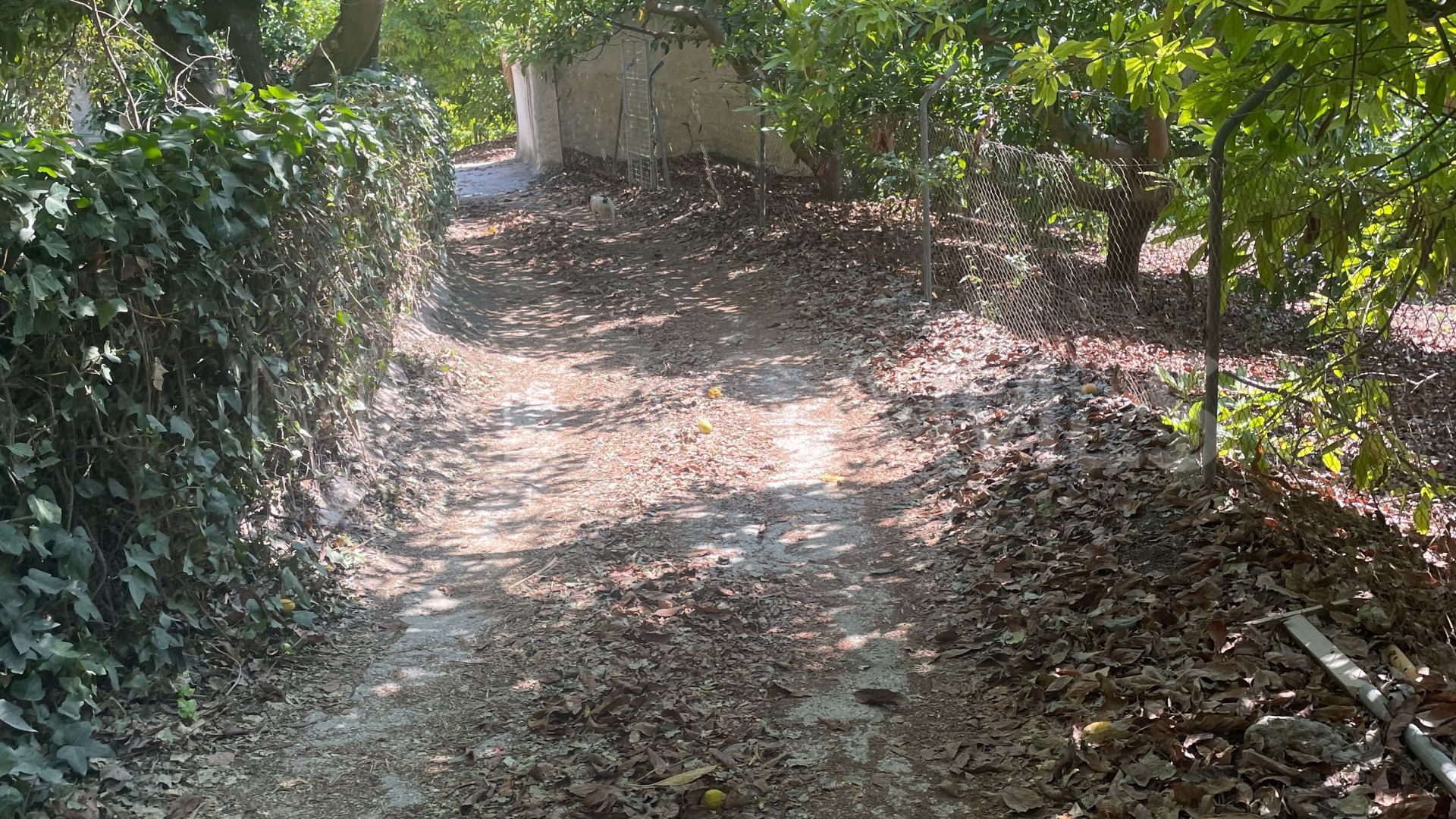 Finca for sale in Coin