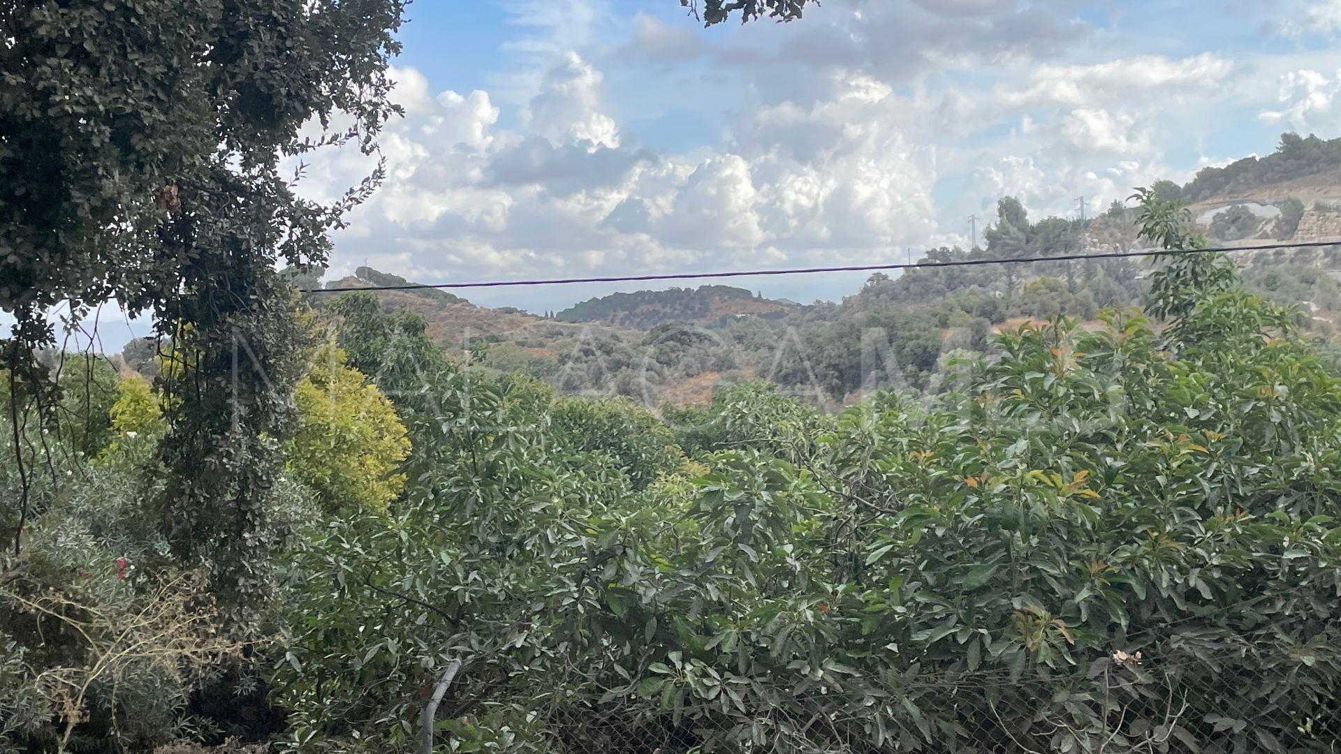 Finca for sale in Coin