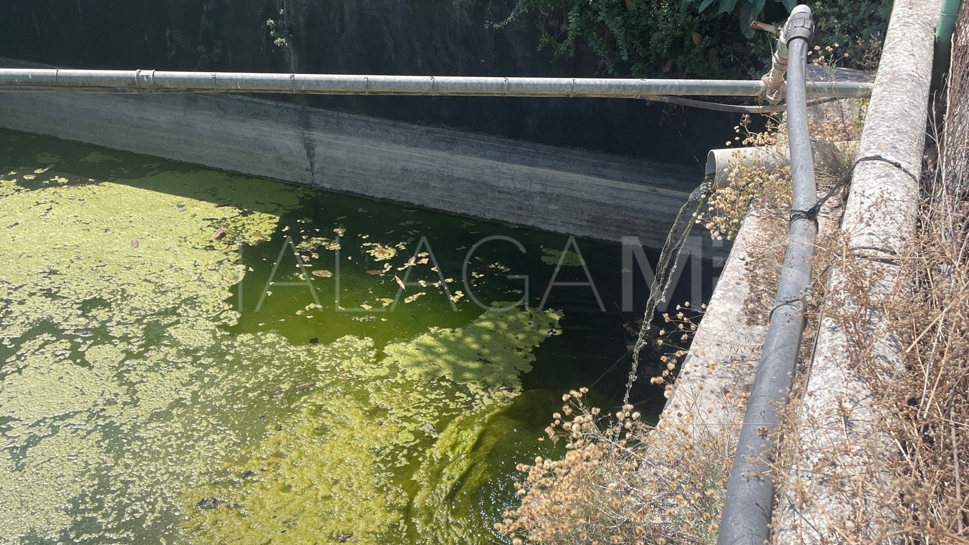 Finca for sale in Coin