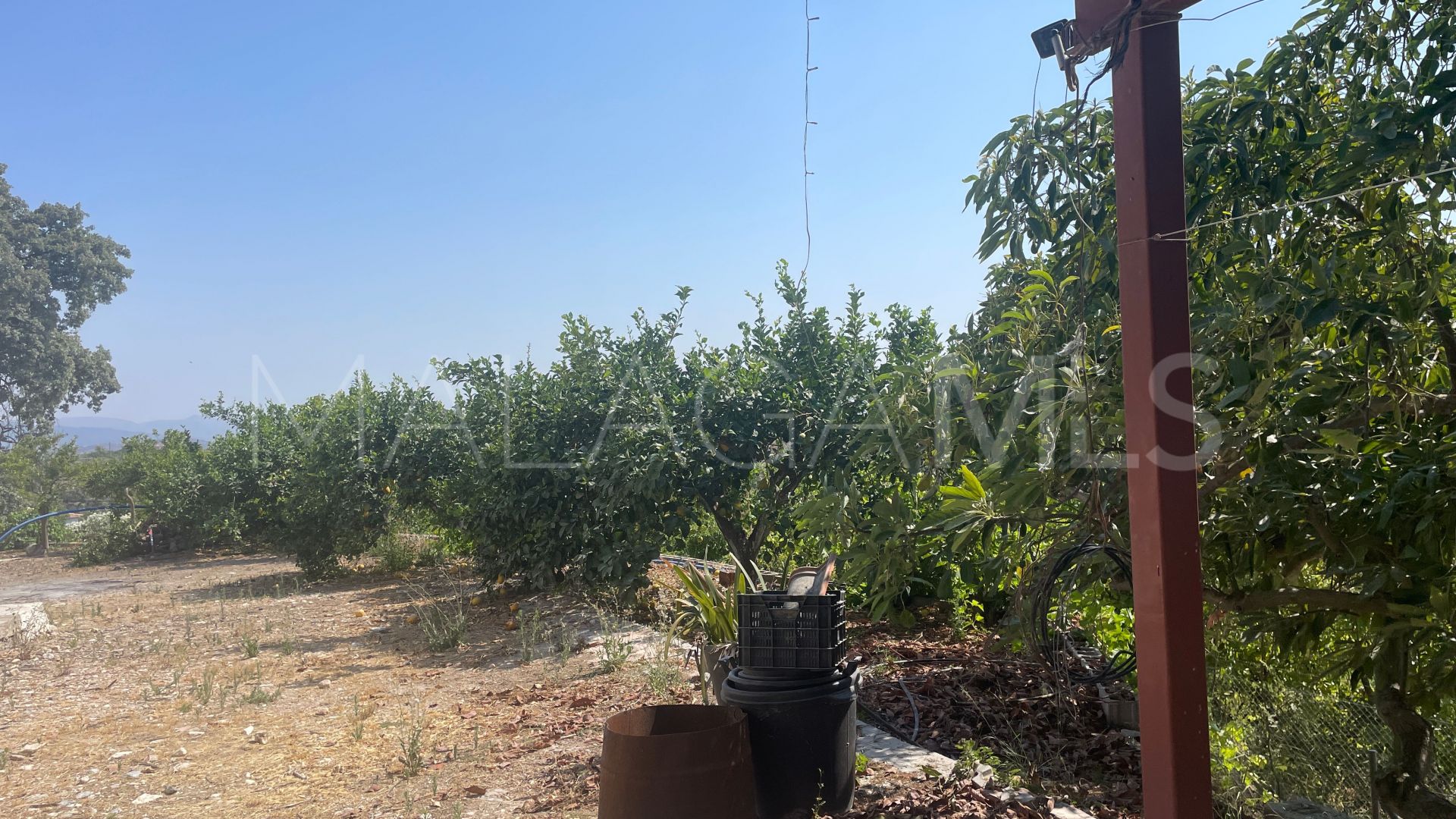 Finca for sale in Coin